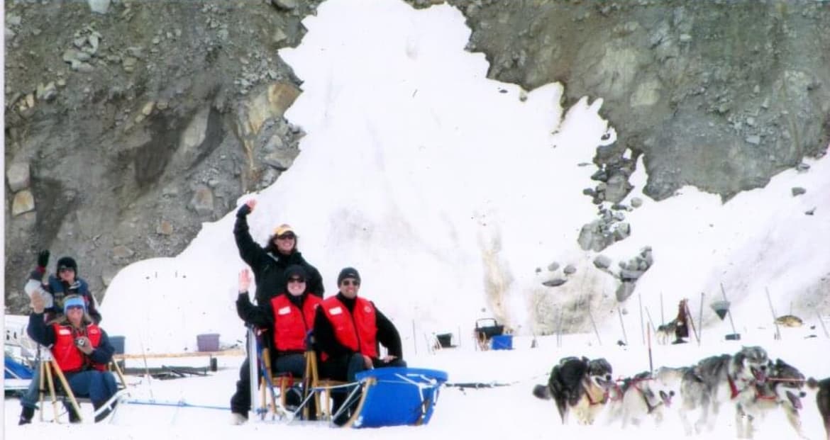 Huskies in the snow.