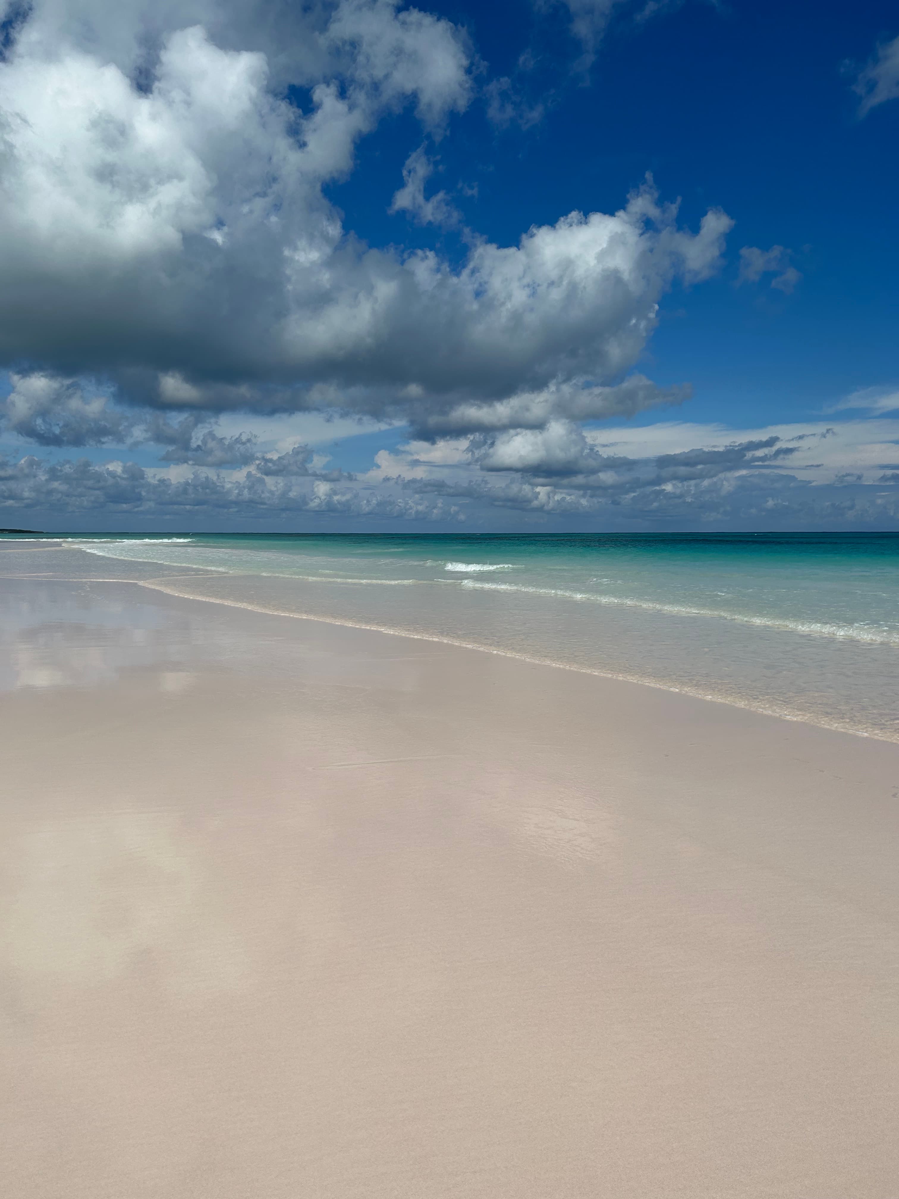 The beach during the daytime.