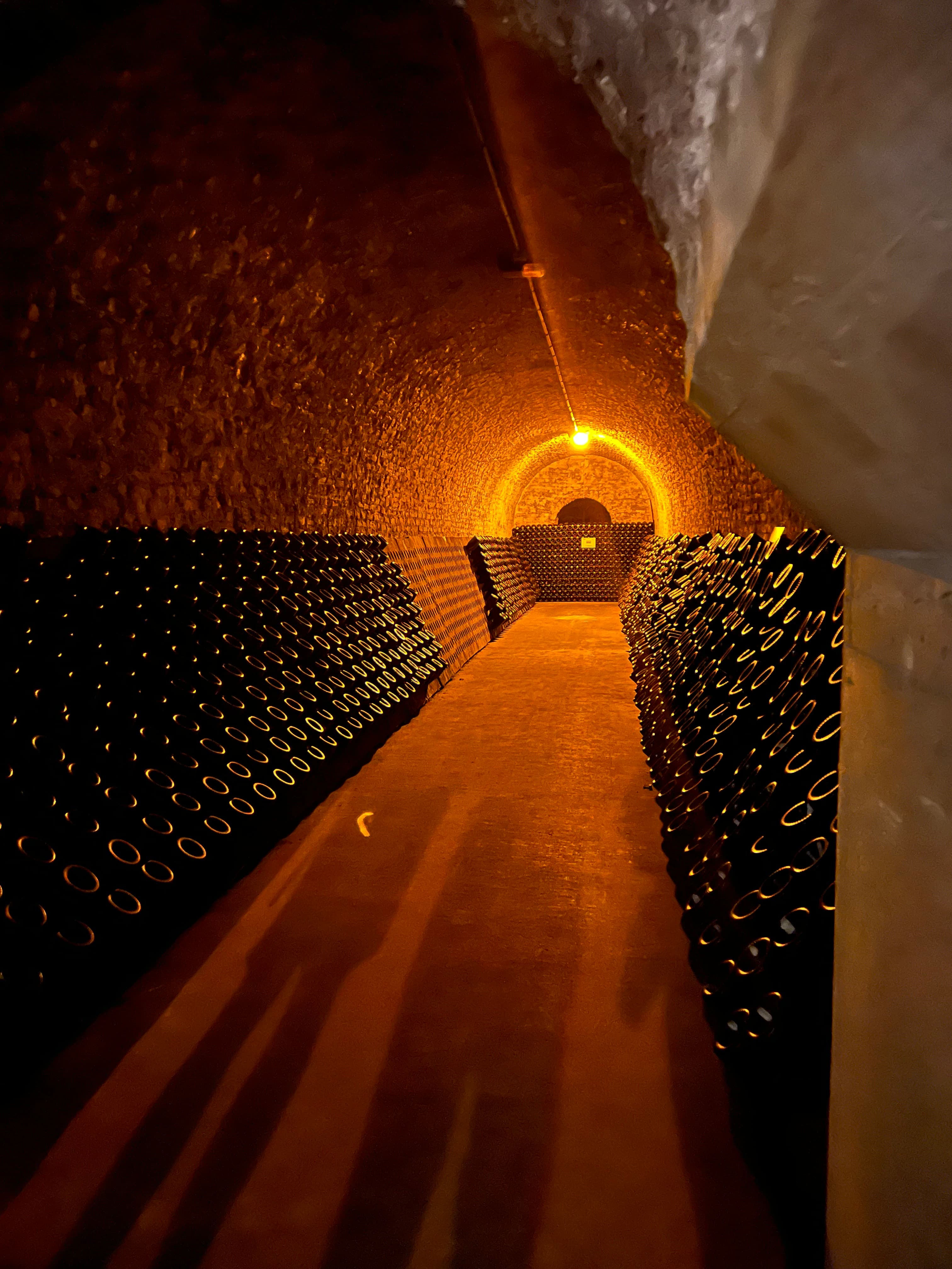 A narrow cellar hallways with racks of wine bottles.