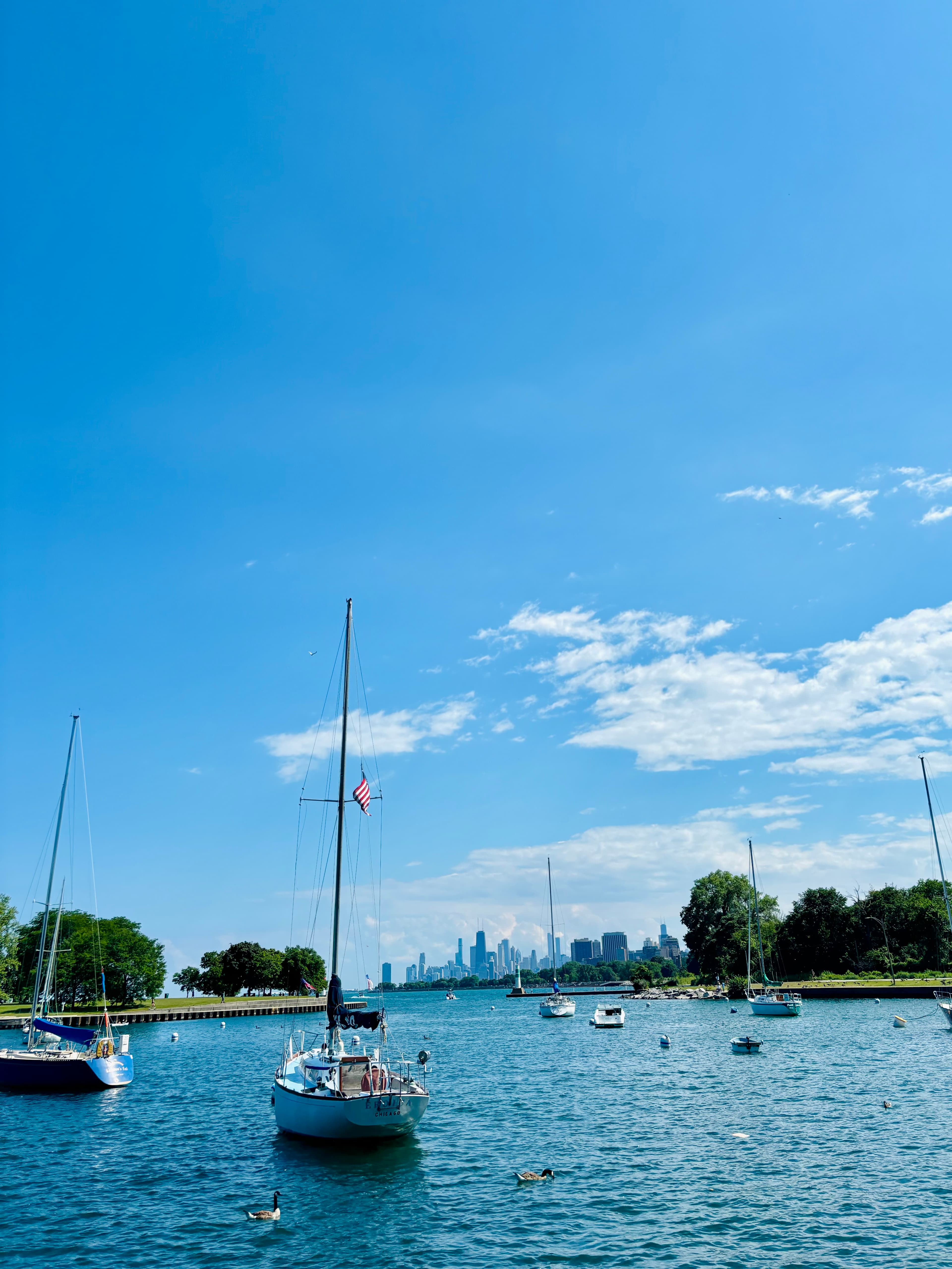 Sailboats in a harbor underneath a blue sky.