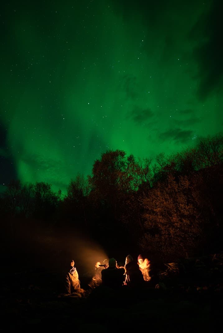 A campfire lights up the night sky surrounded by trees under the glowing haze of the Northern Lights.