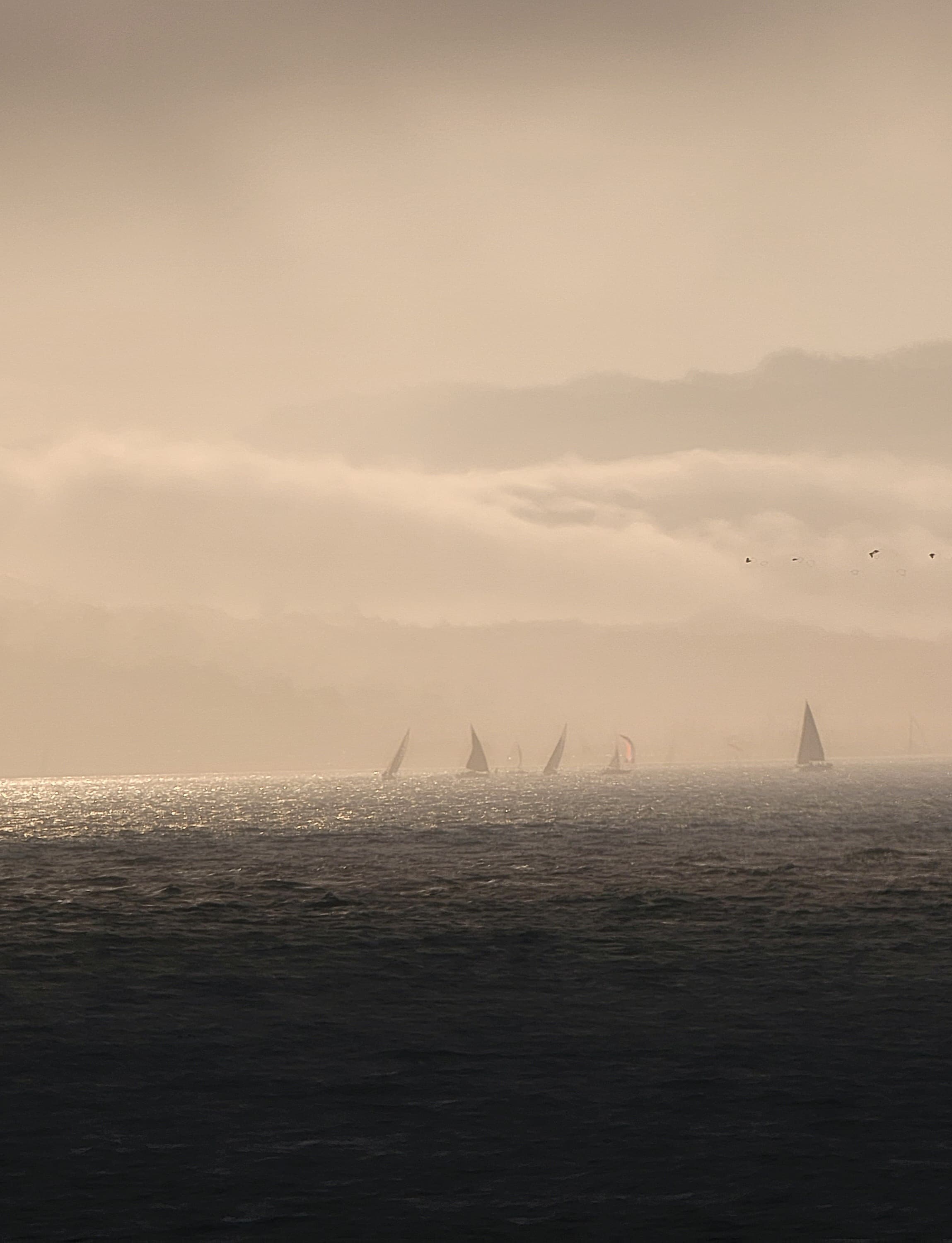 View of the ocean with fog on top of it.