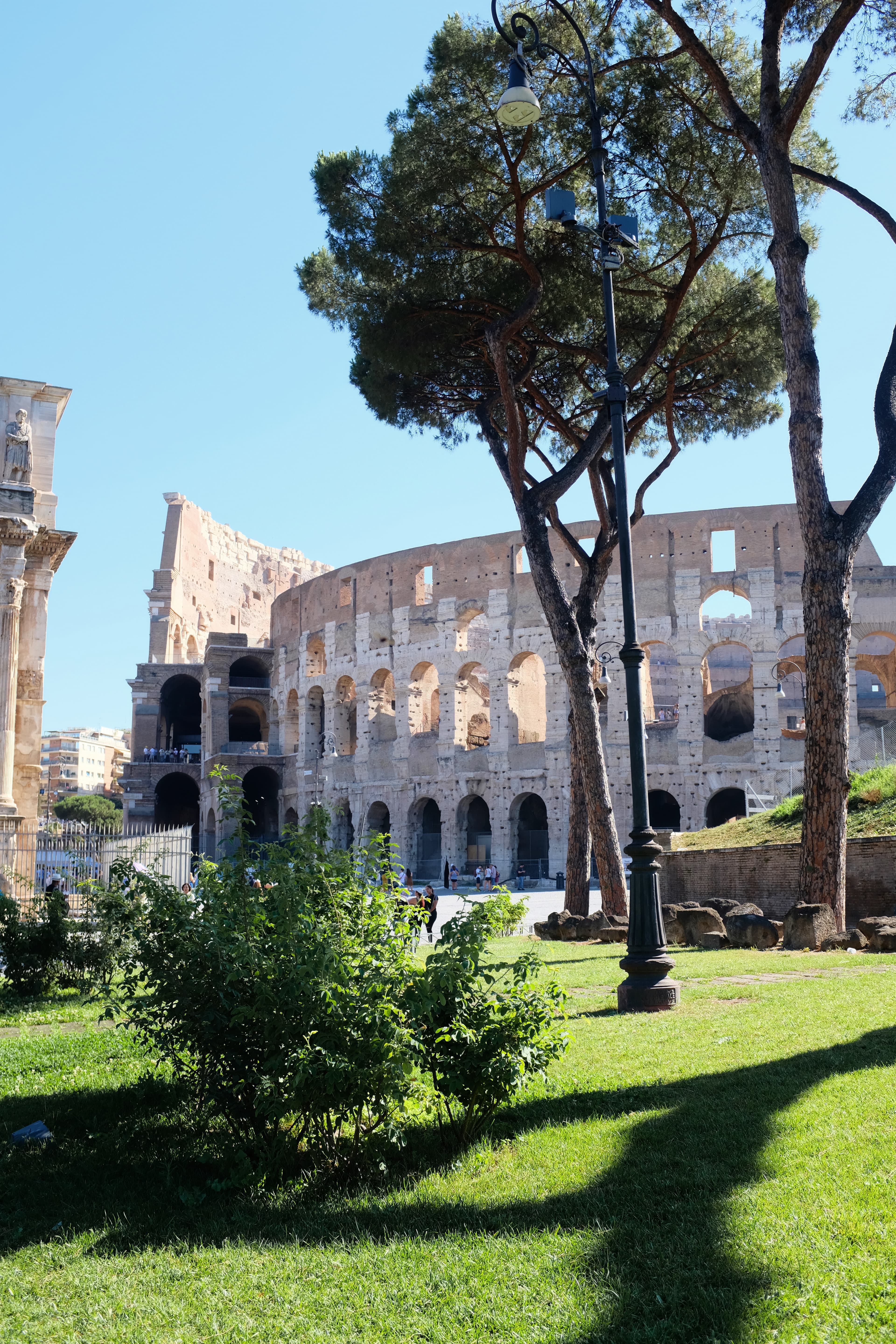 A view of ancient ruins from the shade of a nearby tree on a sunny day.