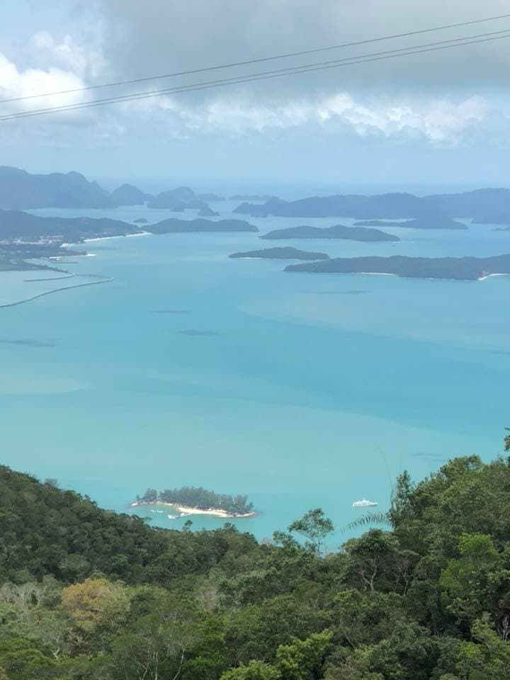 A view of the beach with foliage in the distance.