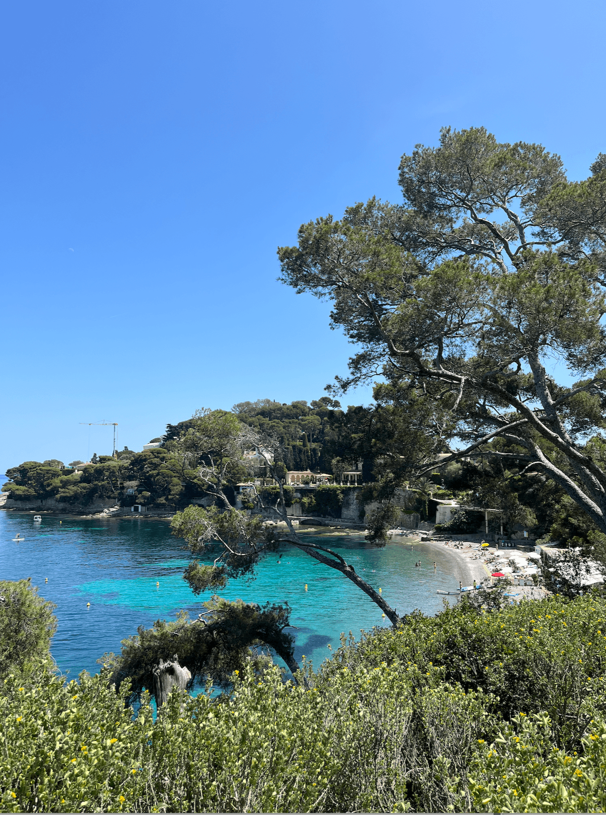 A view of the ocean with foliage in the distance on a sunny day.