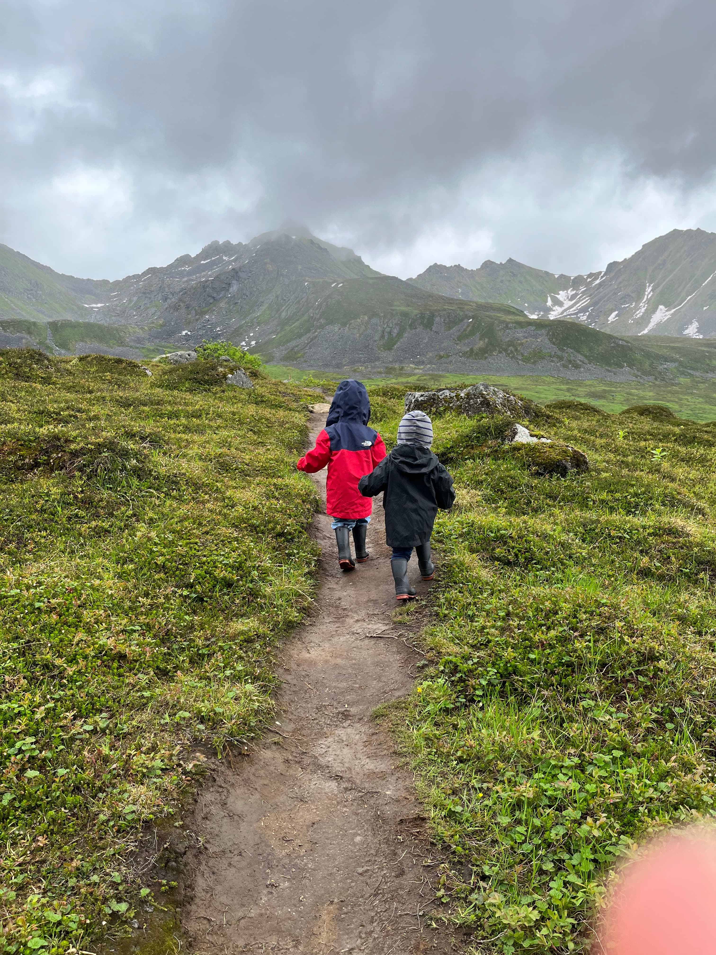 Two small children walking together down a narrow dirt path in the mountains on a cloudy day