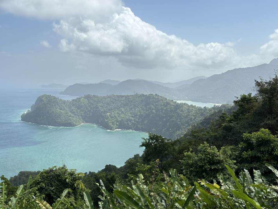 A view of a light blue body of water with tropical foliage and volcanic terrain surrounding the area.