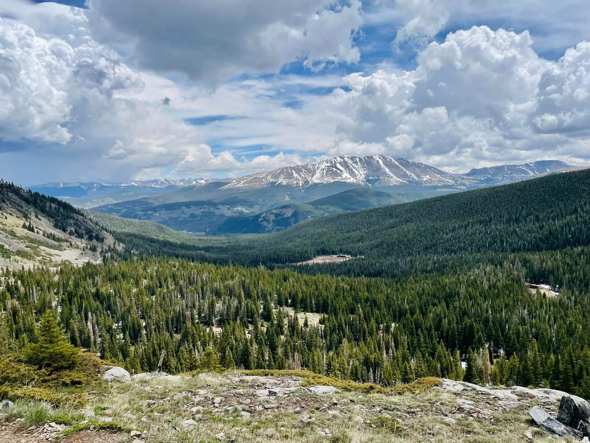 A landscape view of pine trees, rolling hills and snow-peaked mountain tops in the distance beneath a cloudy blue sky.