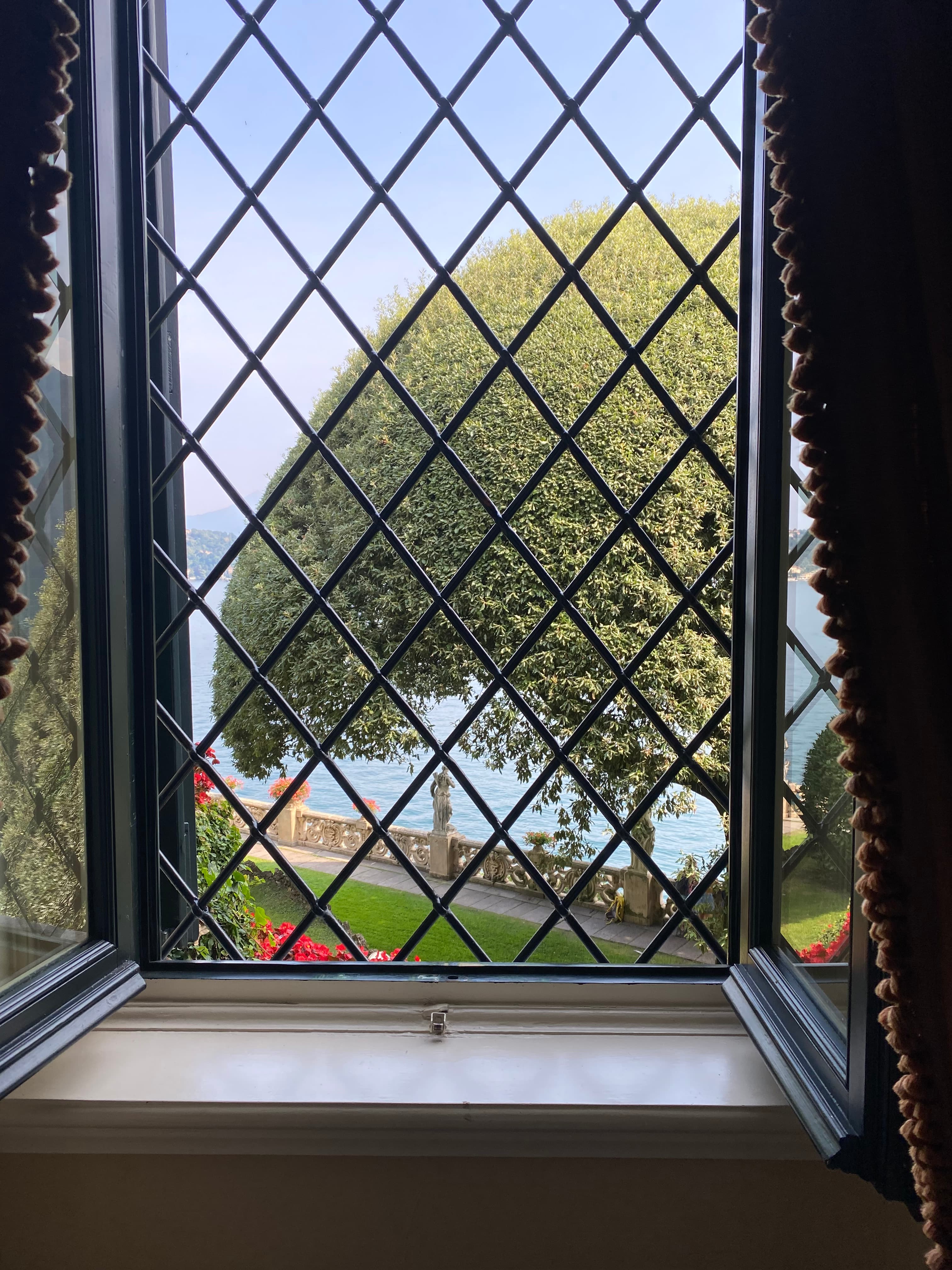 View of a tree and the seaside seen through an open window on a sunny afternoon