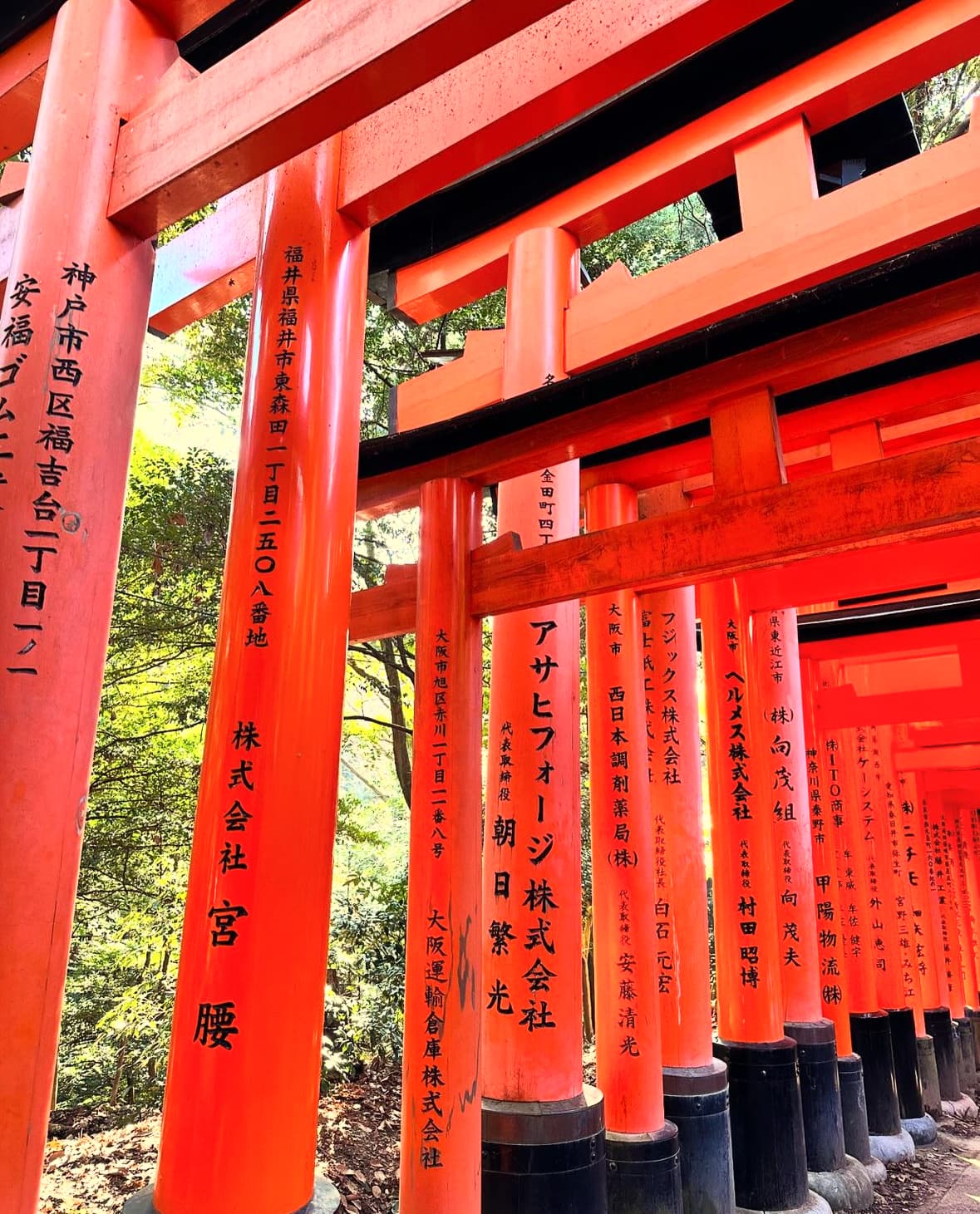 View of a red Japanese torii gate during the day