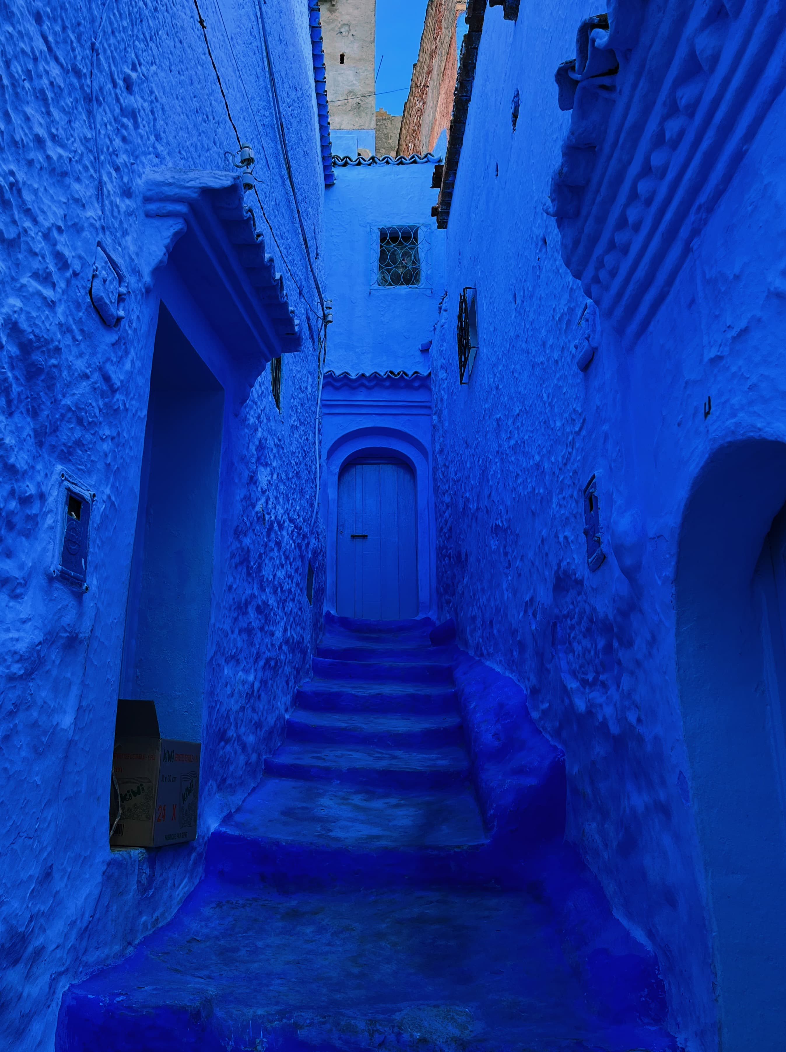 View of stone walls and a short staircase leading towards a door seen in blue light