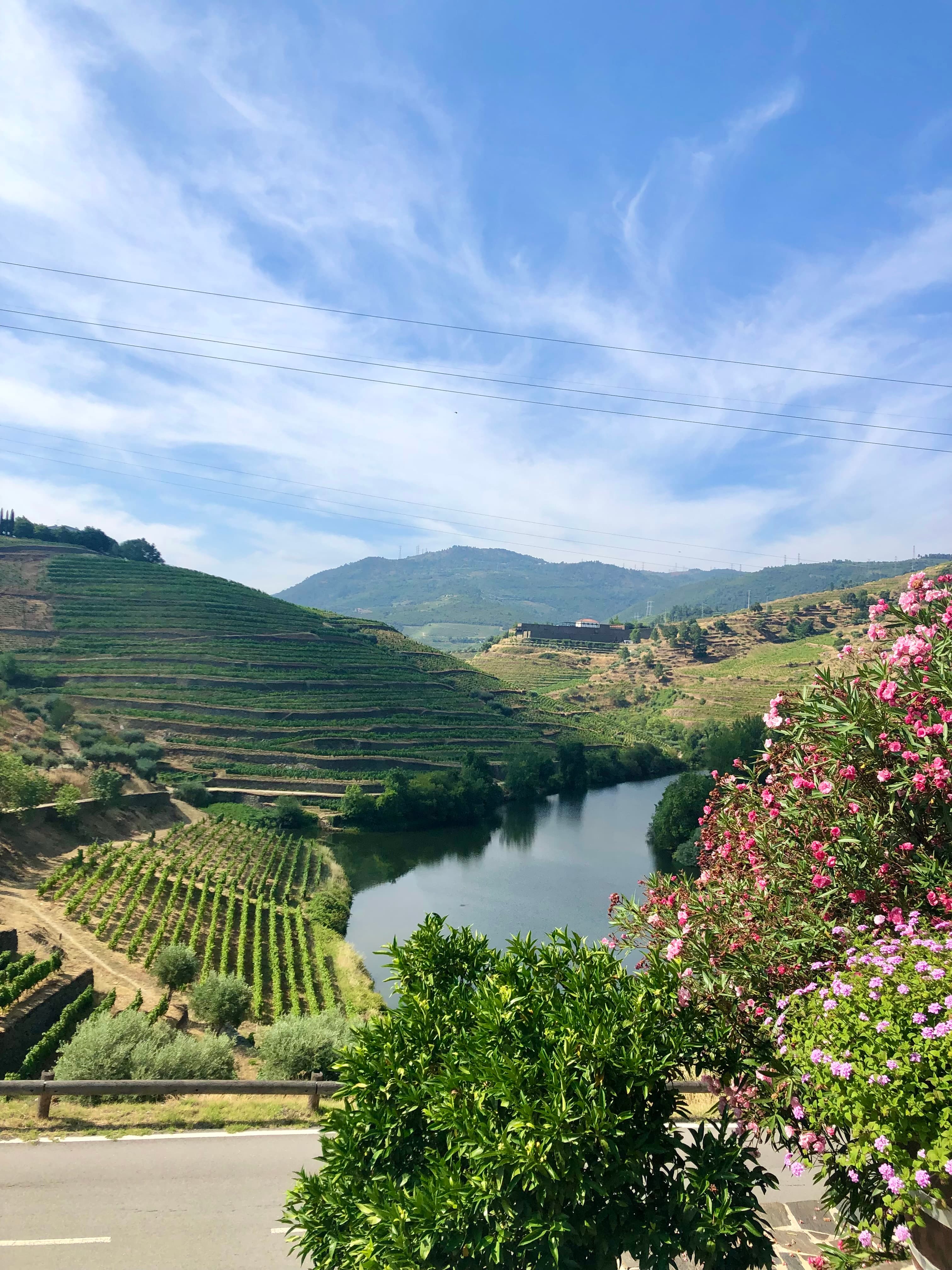 View of a glassy river lined with green hills and pink flowers on a sunny day