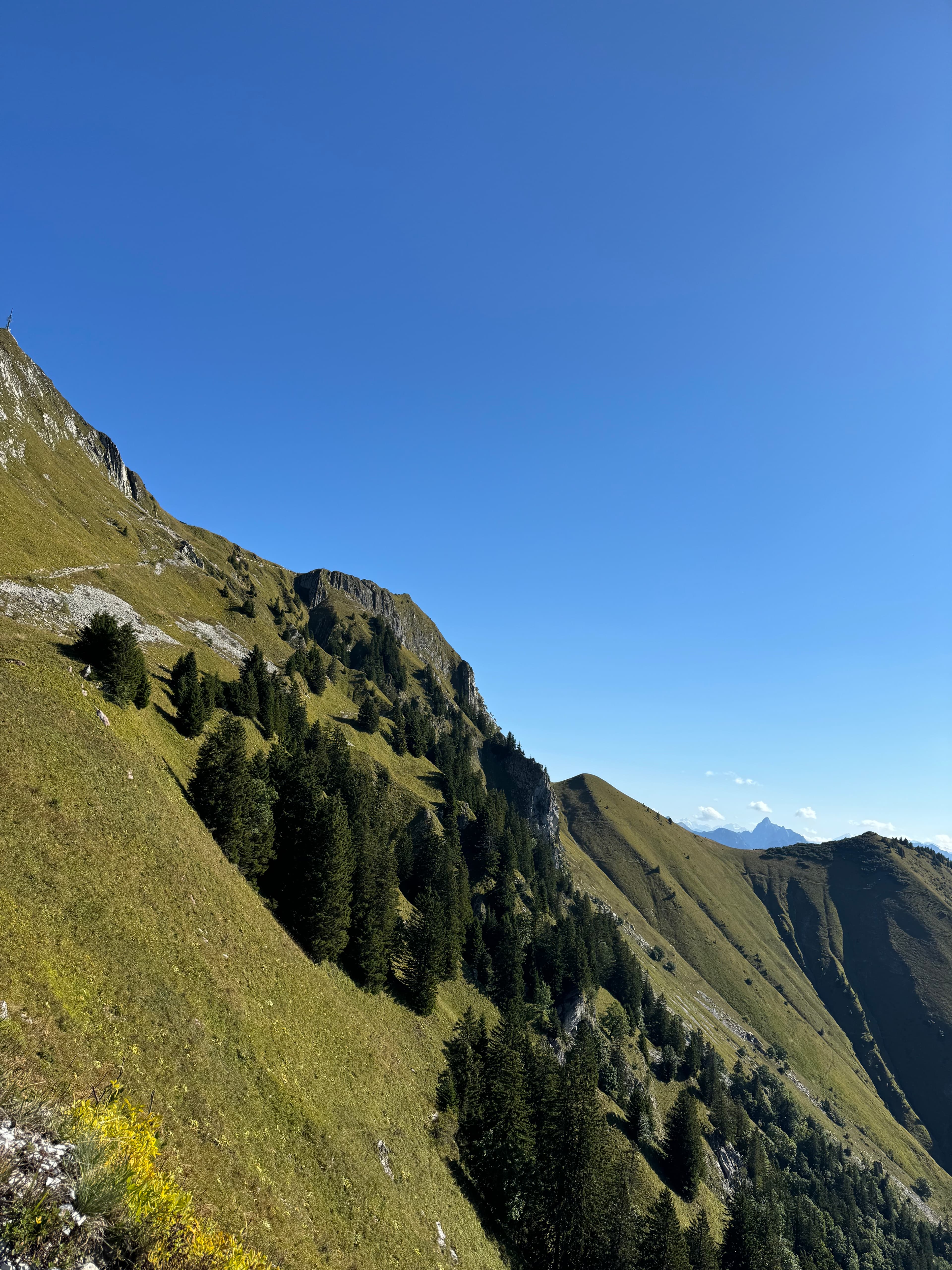 View of a green mountainside on a clear day