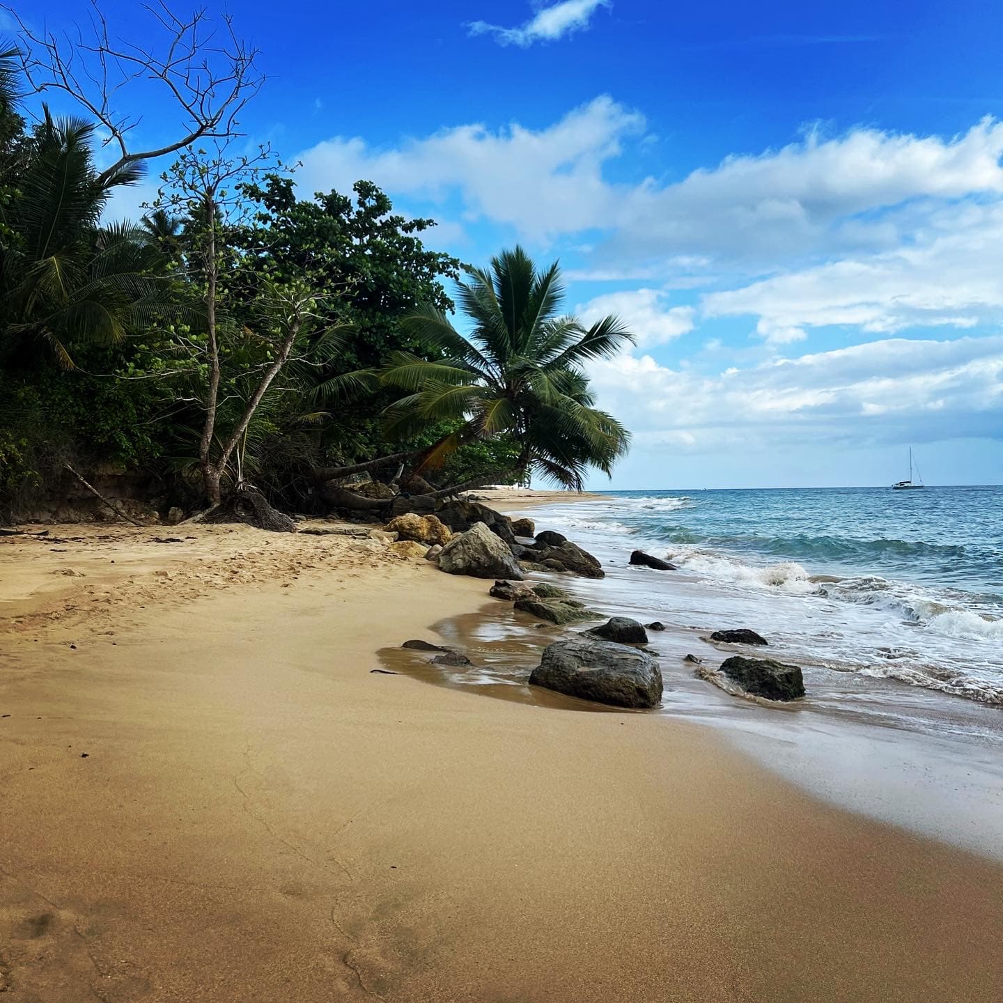 View of a beautiful empty beach with some rocks at the ocean’s edge and palm trees at the end