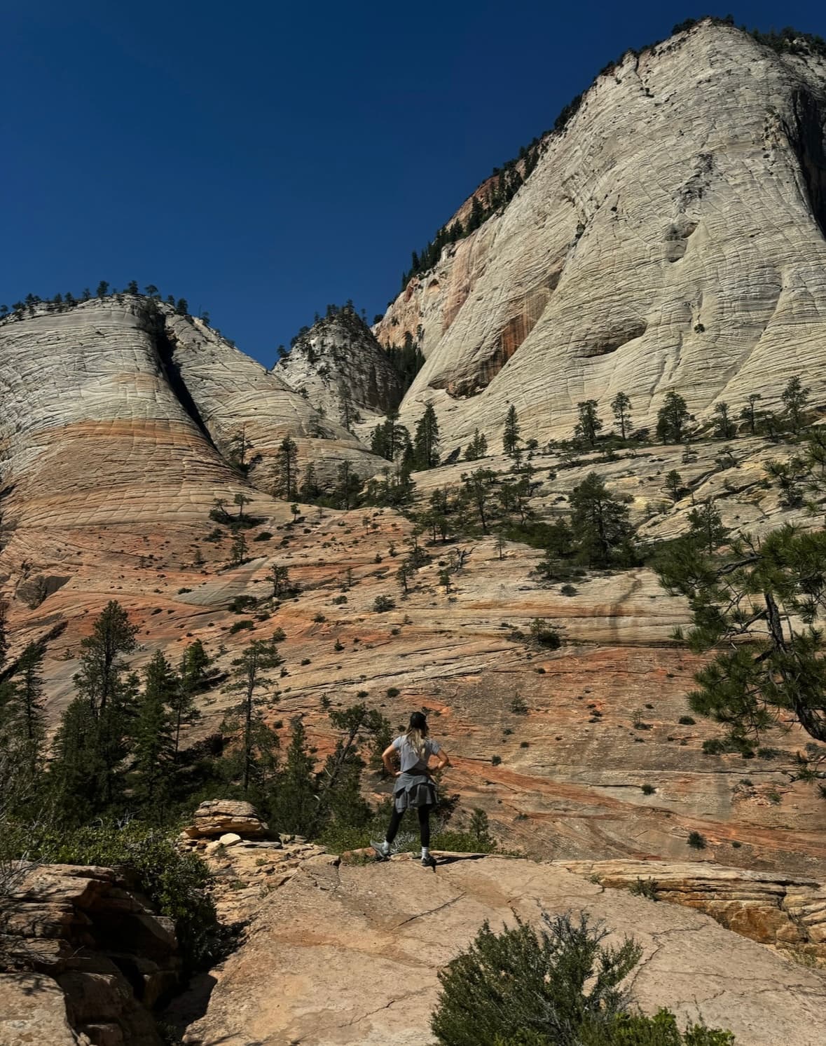 View of canyons during the daytime.