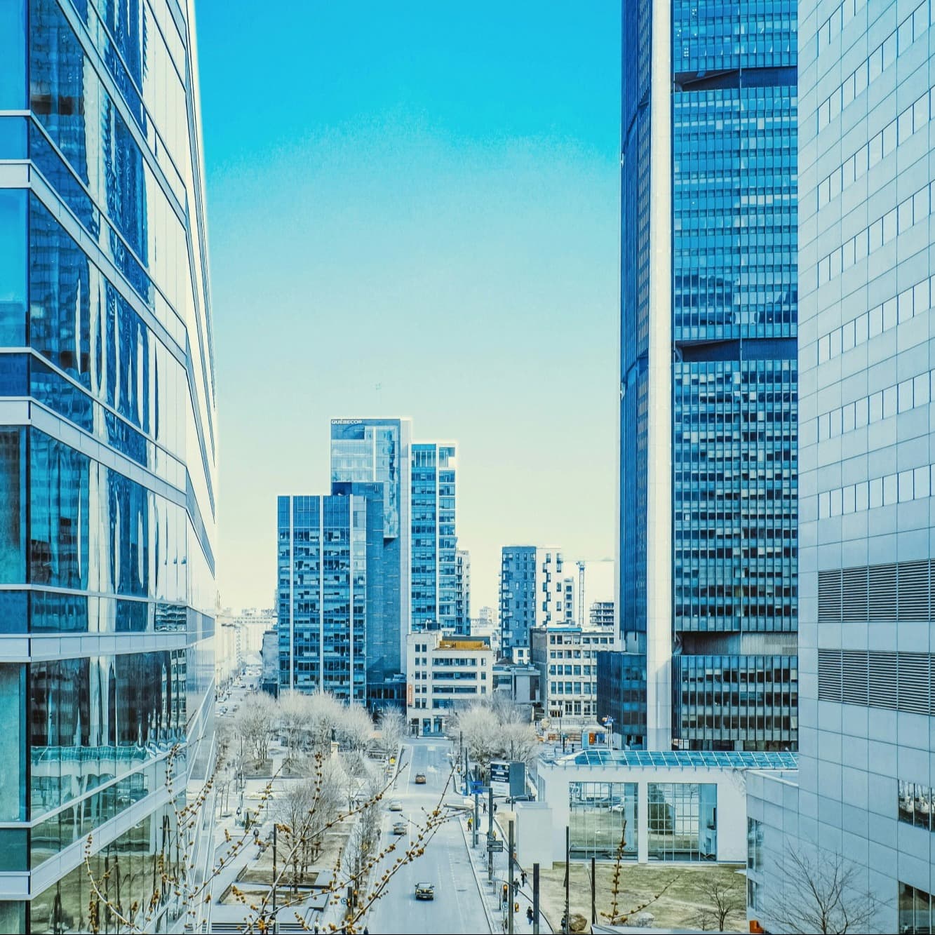 A city view looking onto skyscrapers in the distance on a sunny day.