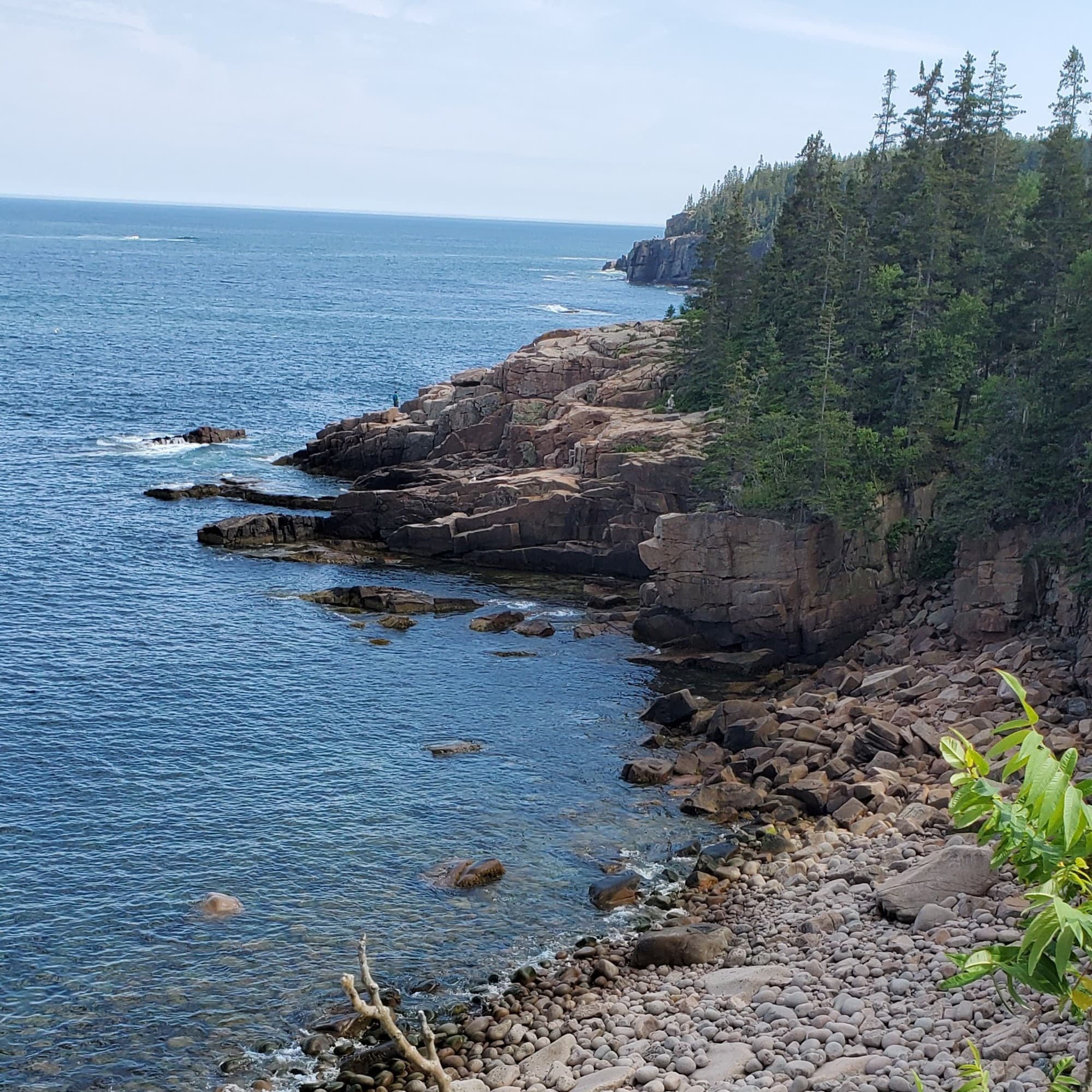 The image shows a rocky shoreline with green foliage and purple flowers in the foreground, leading to a blue sea and a clear sky.
