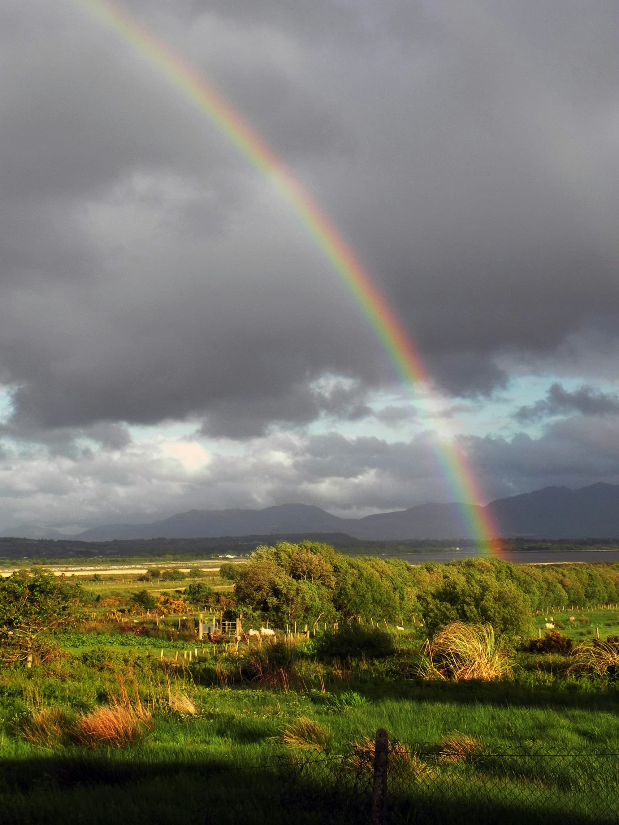Rainbow over a green field, a highlight of an Ireland 7 day itinerary.