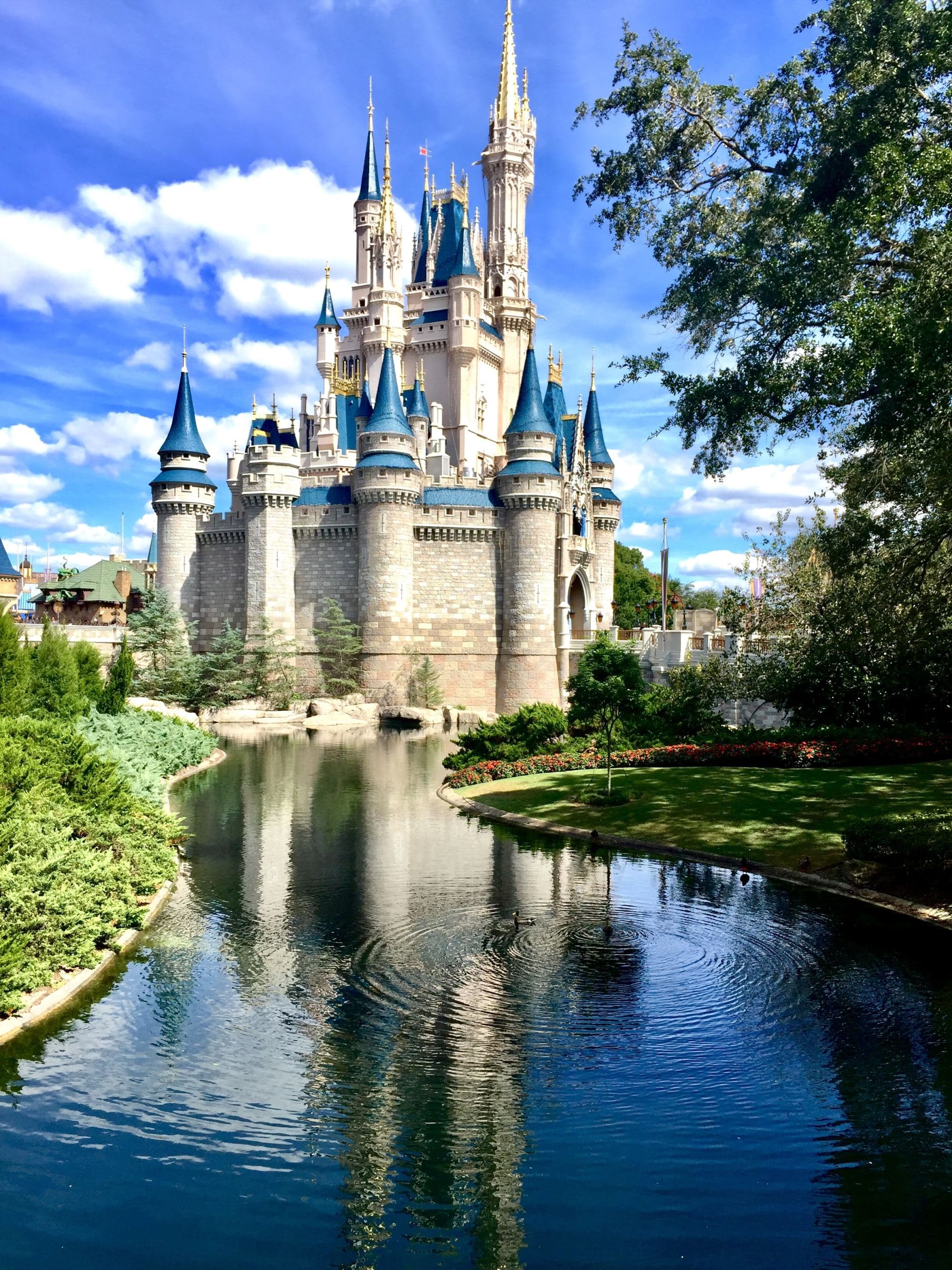 A disney castle picture in daytime.