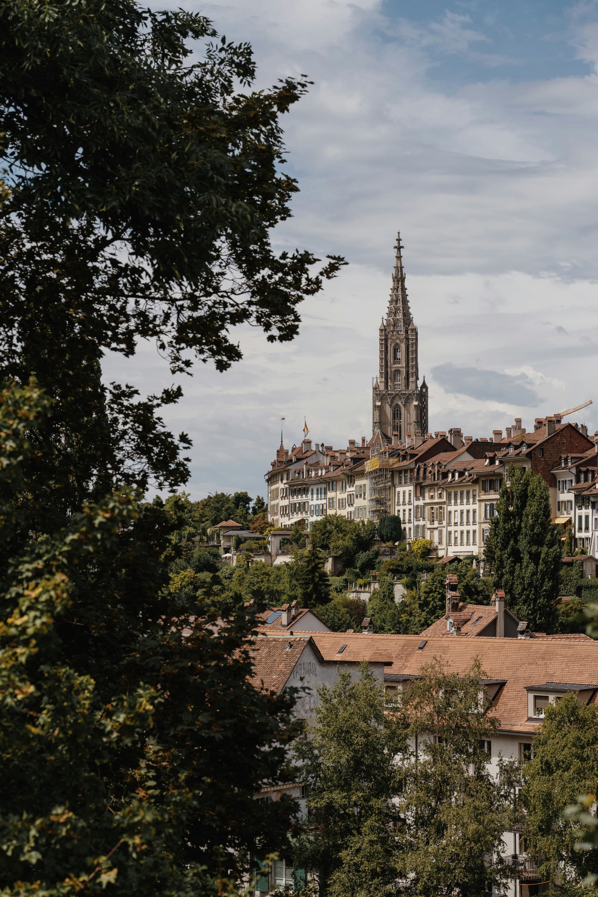 A view through the trees looking at a city and a tall baroque style tower in the distance on a cloudy day.