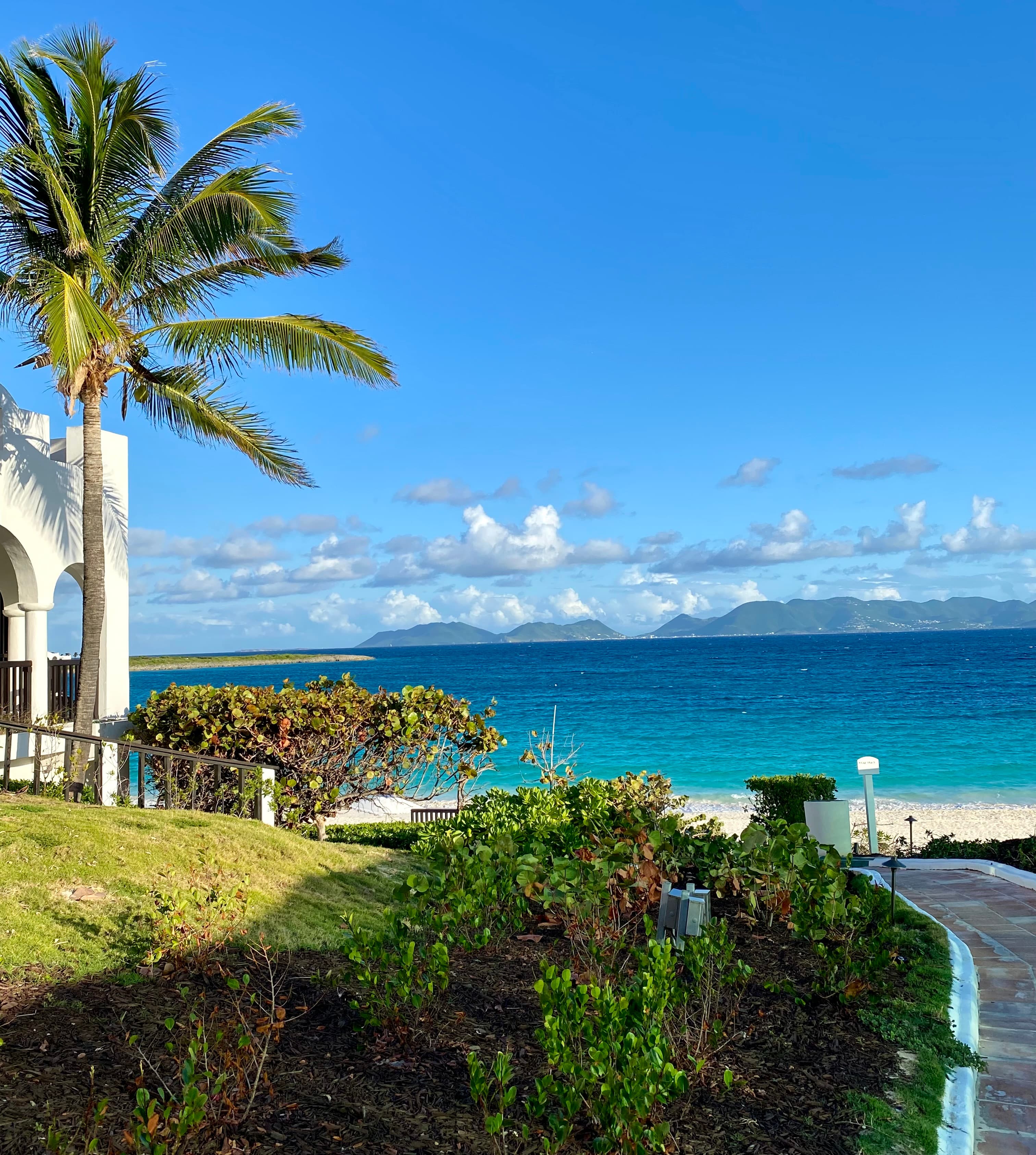 A resort lawn with a beach in the background on a sunny day
