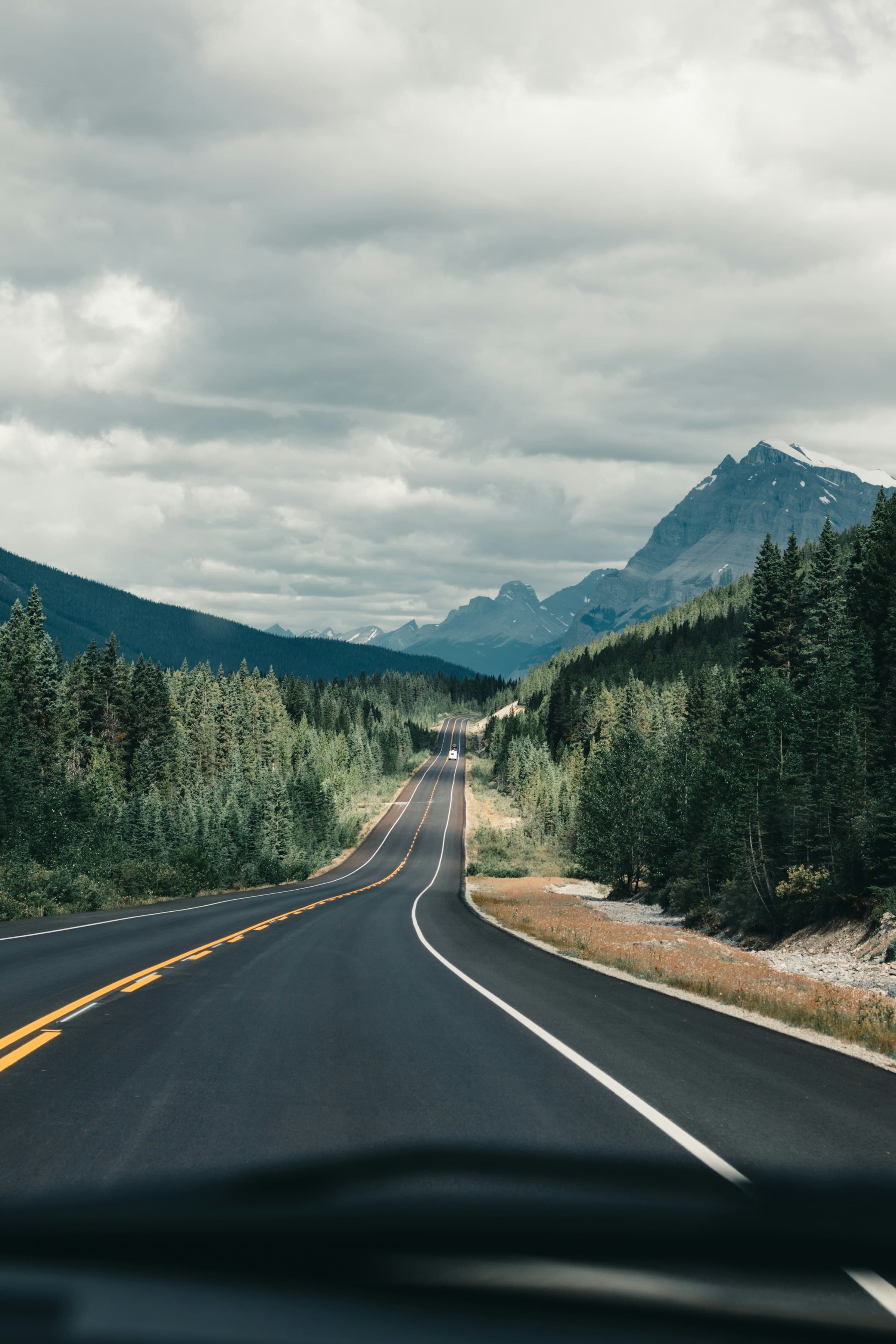 A paved road winding through the pines as it stretches toward the mountains on a cloudy day.