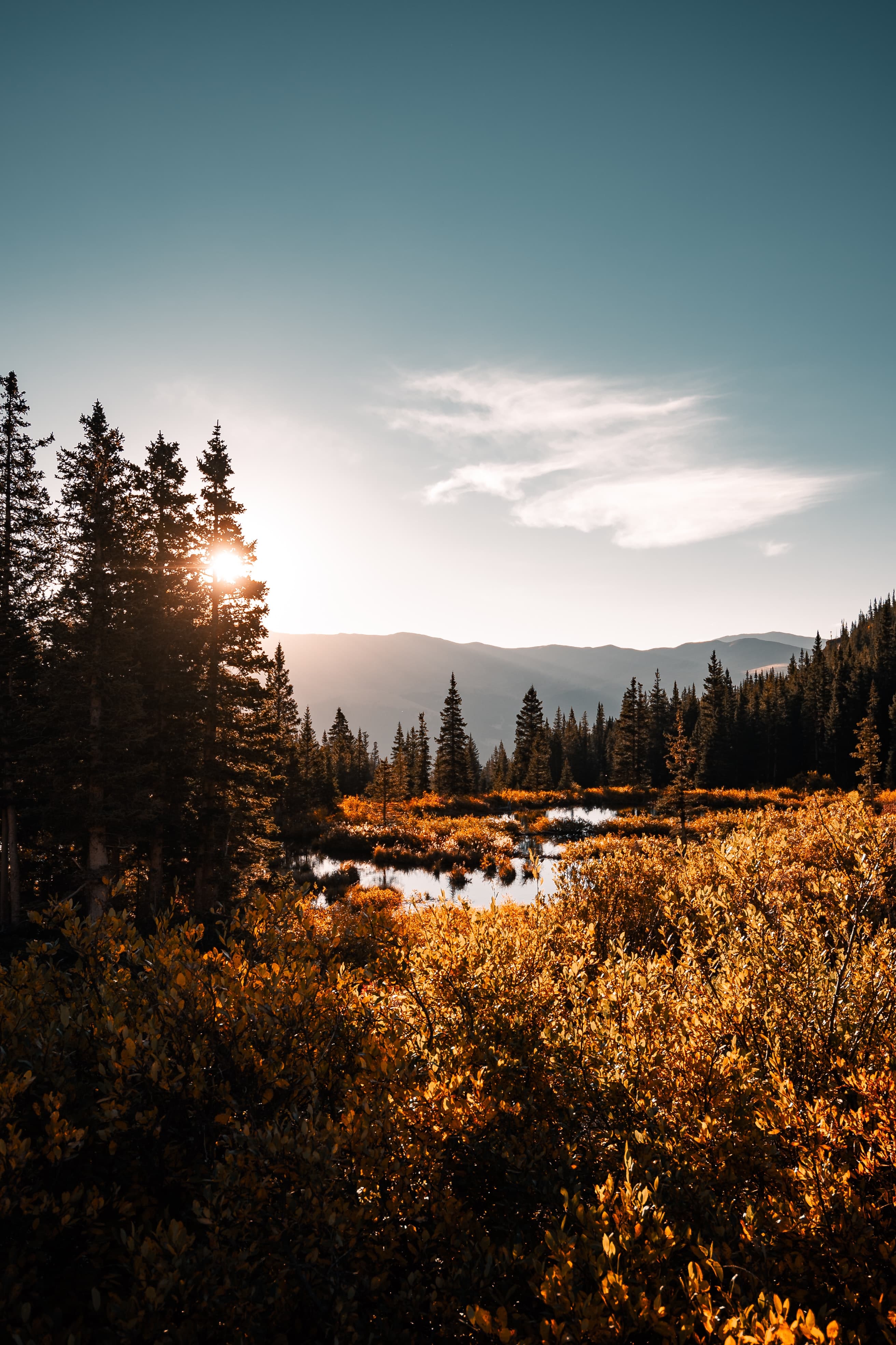 lake surrounded by trees with the sun in the sky