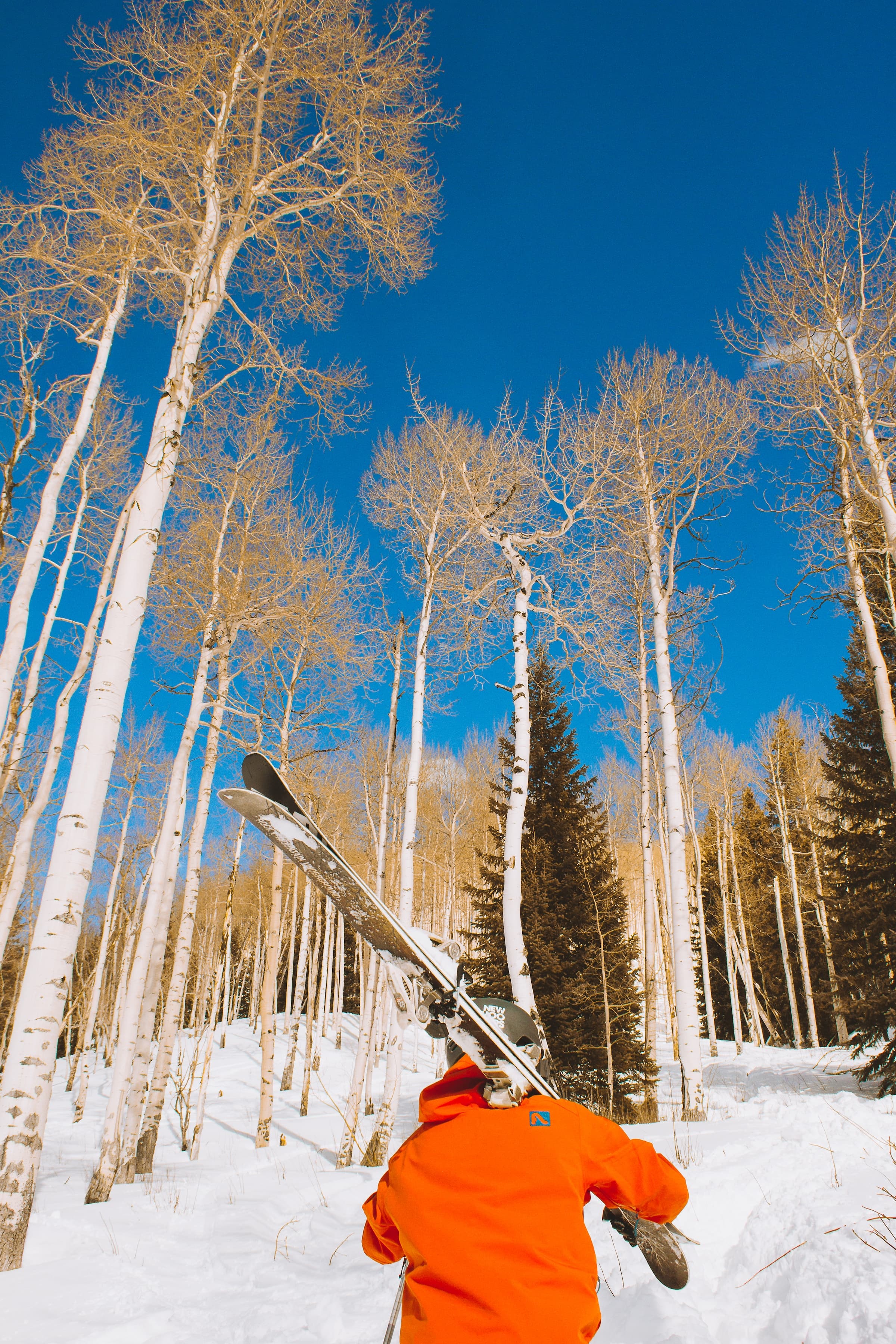 Ski Trip to Vail in March