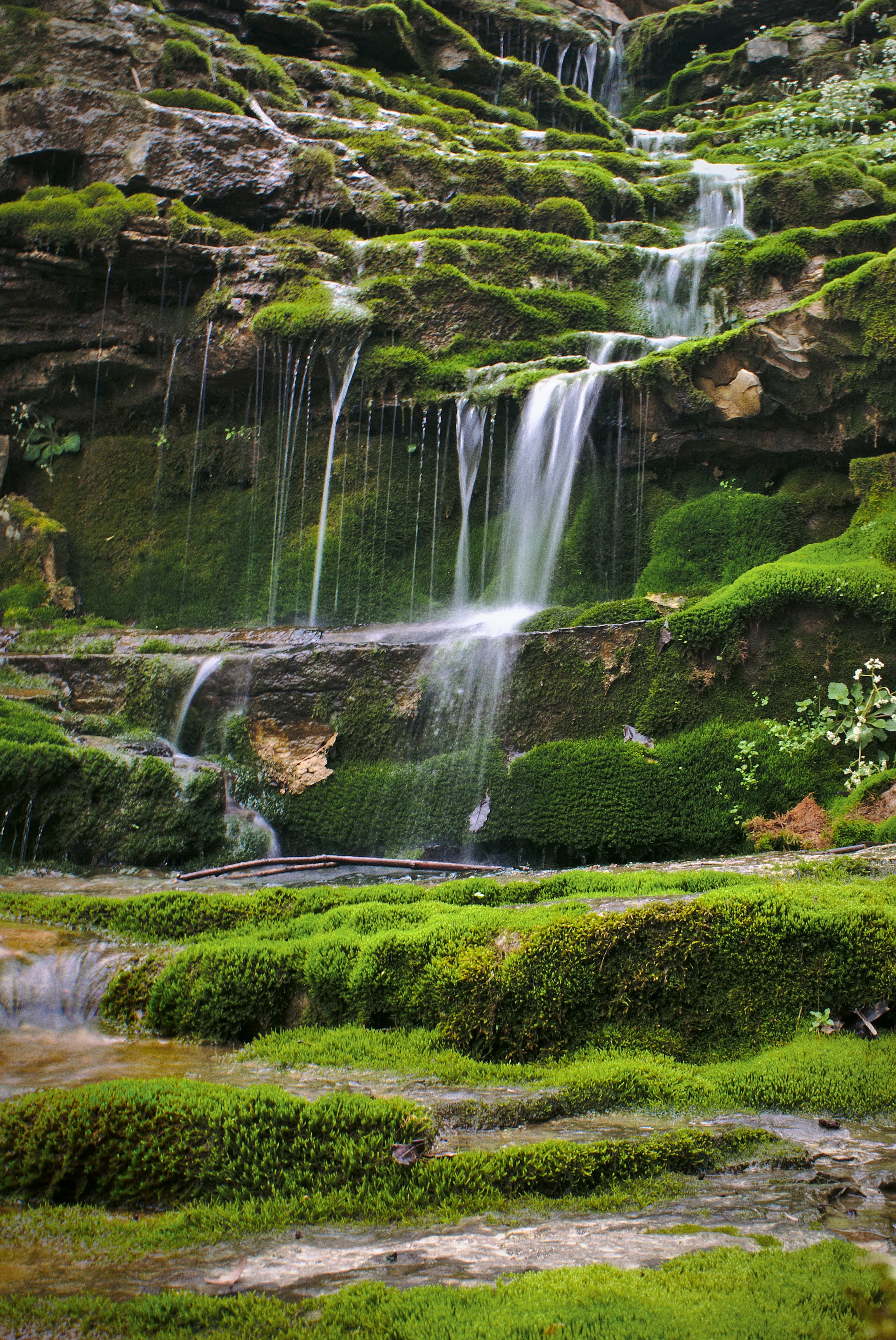 A waterfall in a green landscape in Kentucky.