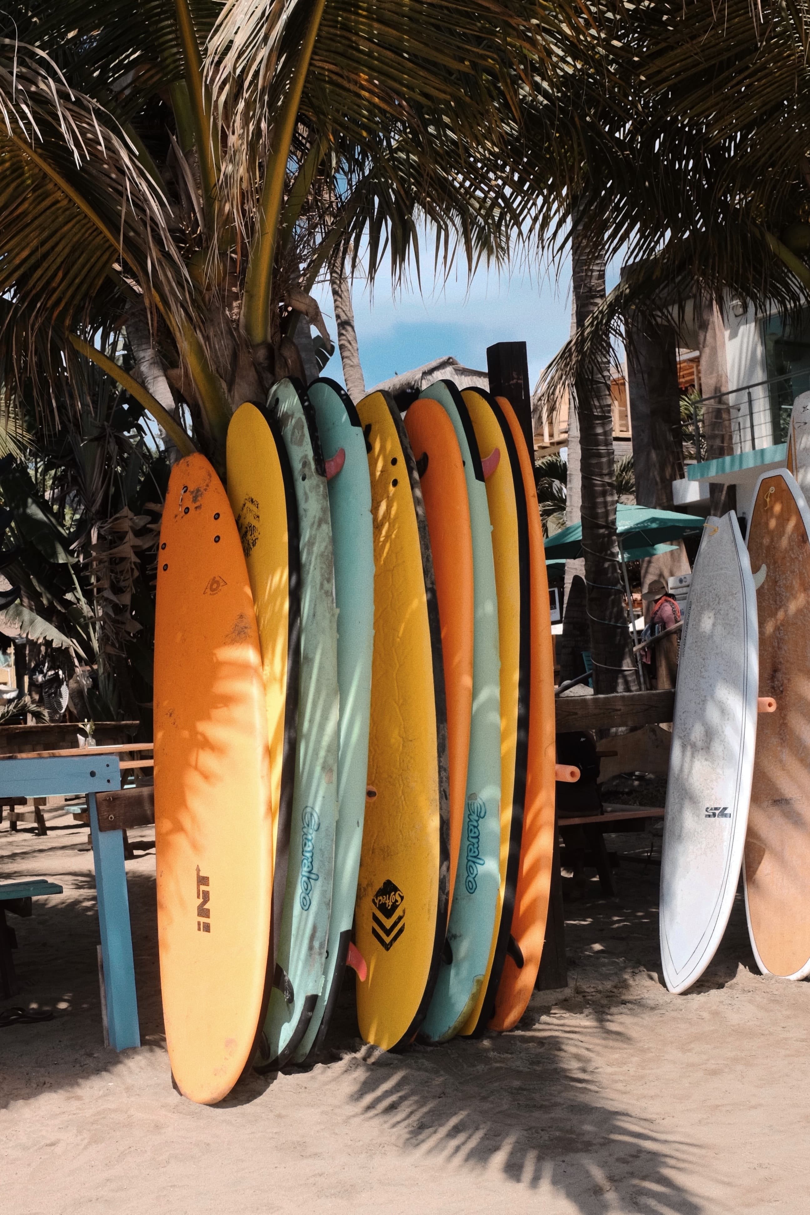 Colorful surfboards leaning against a palm tree in Sayulita.