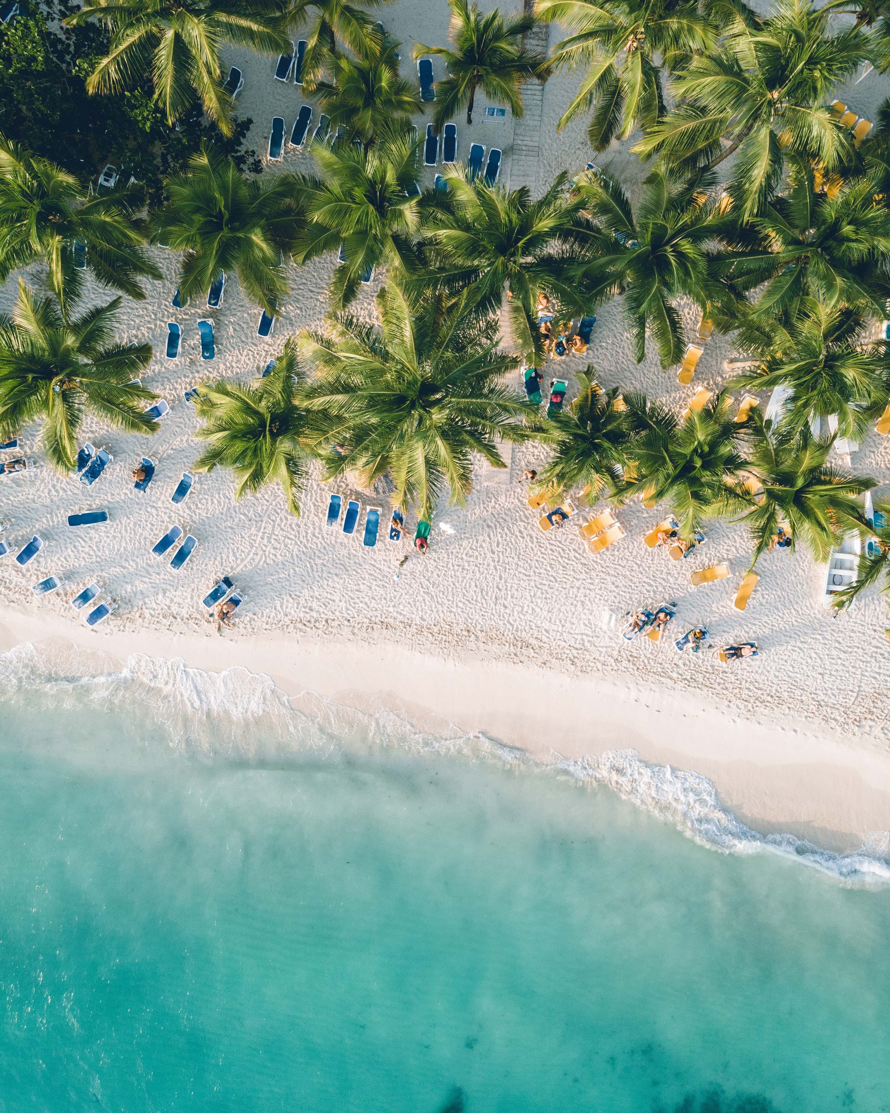 Aerial view of body of water next to beach with blue lounge chairs and palm trees