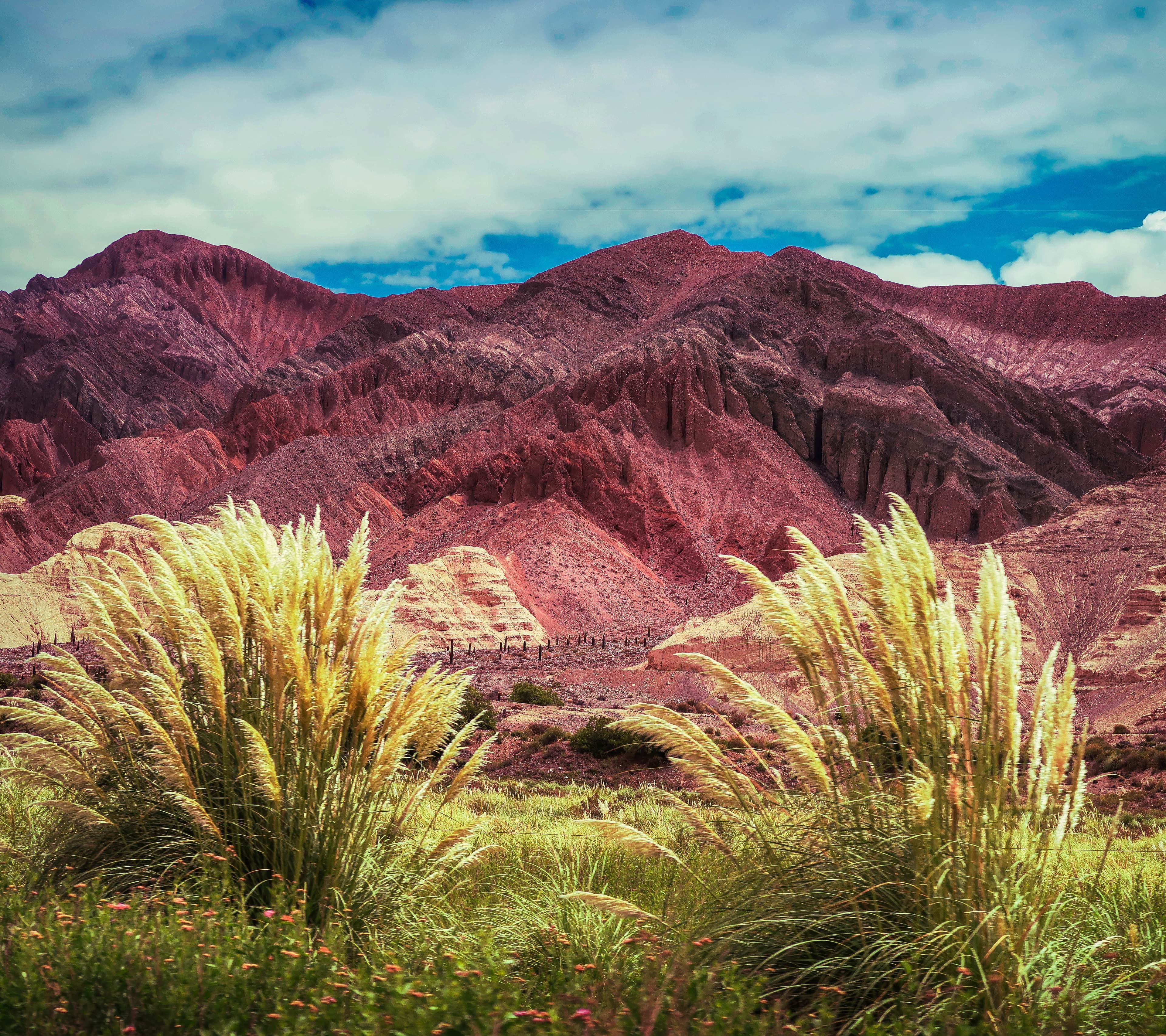 Red rocks with green plants in the foreground during daytime