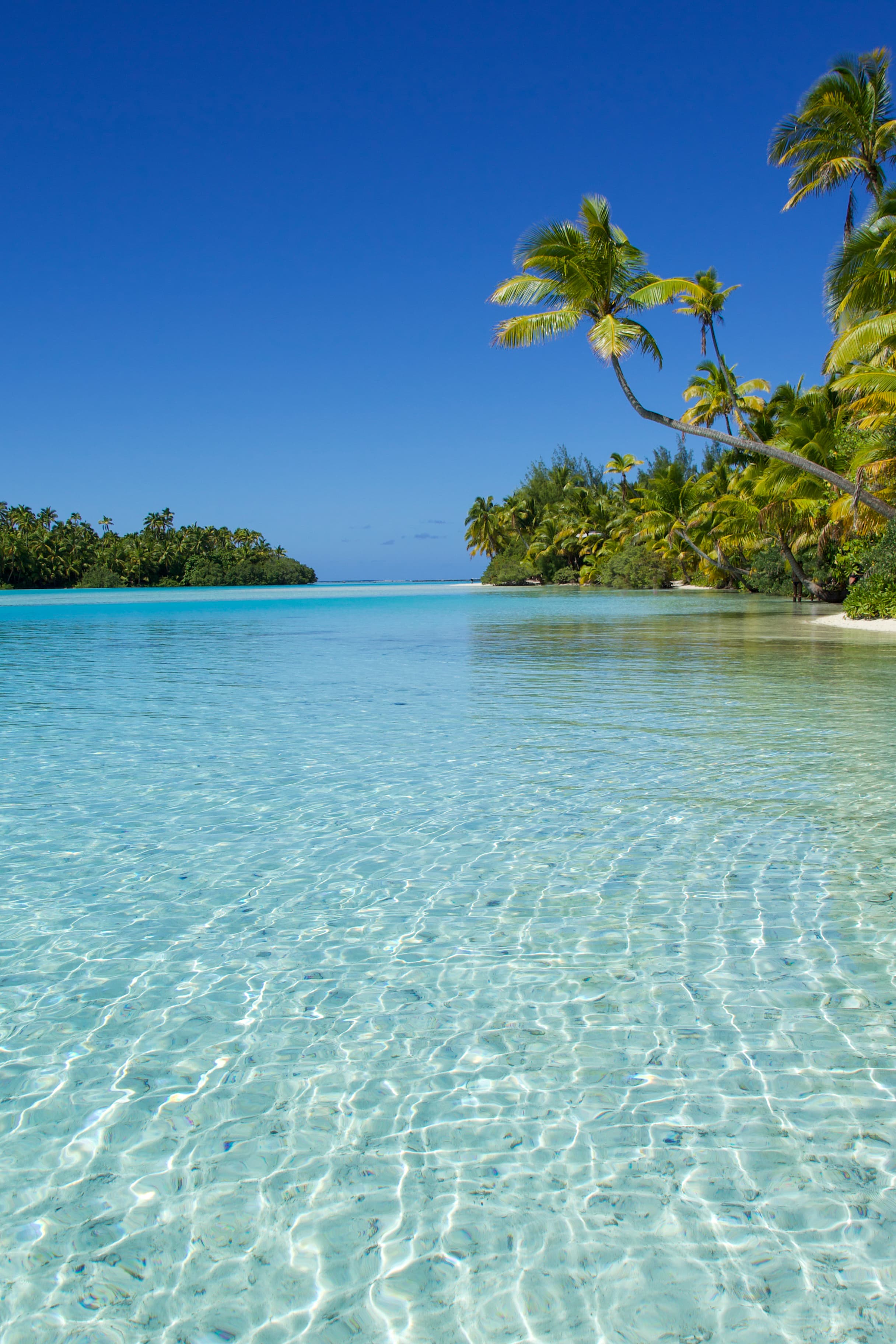 A picture of beach and island taken at daytime.