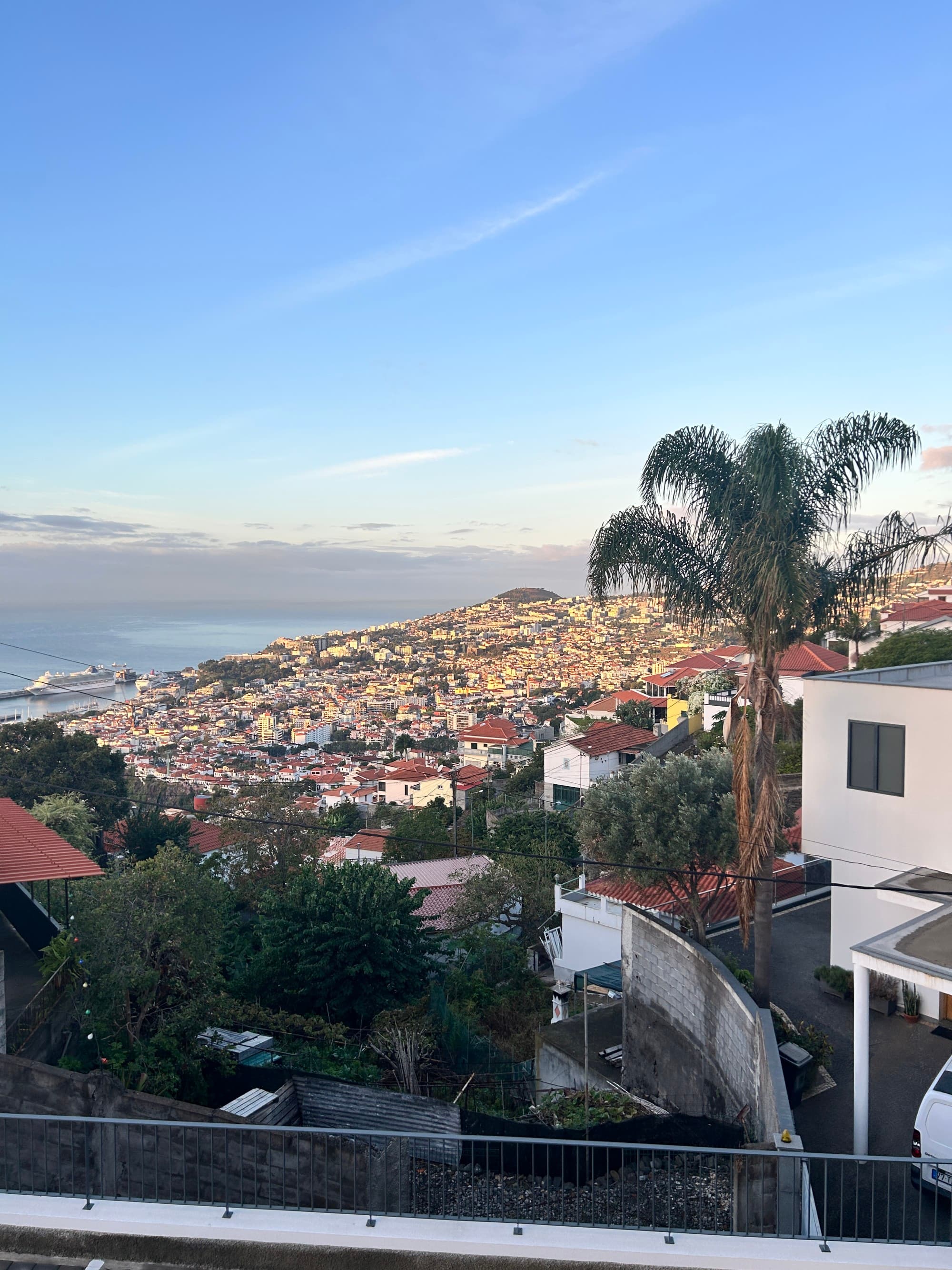 An aerial view of the city with numerous houses, palm trees and the sea.