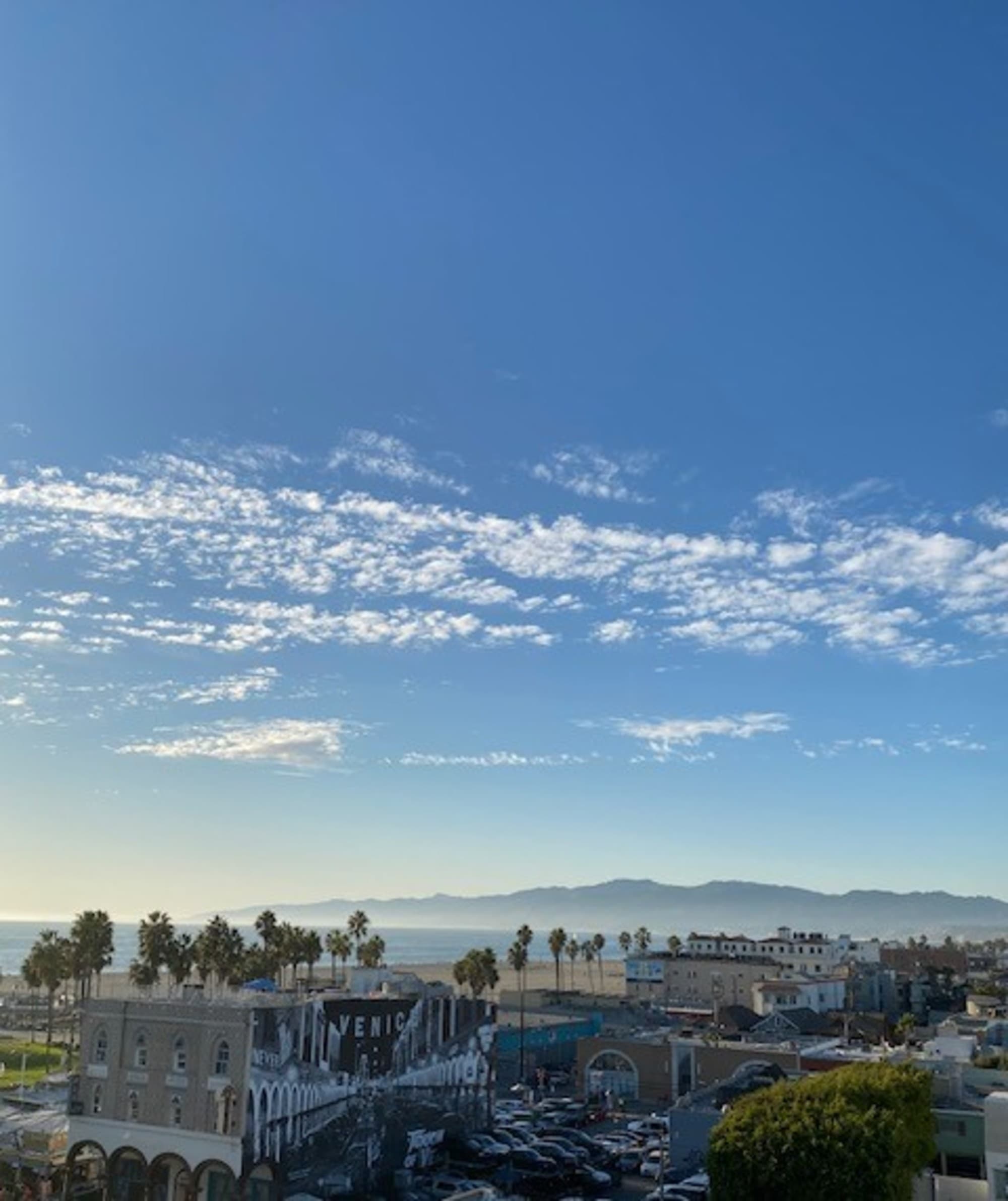 An aerial view of the city during the daytime complete with tall palm trees and mountains in the distance.