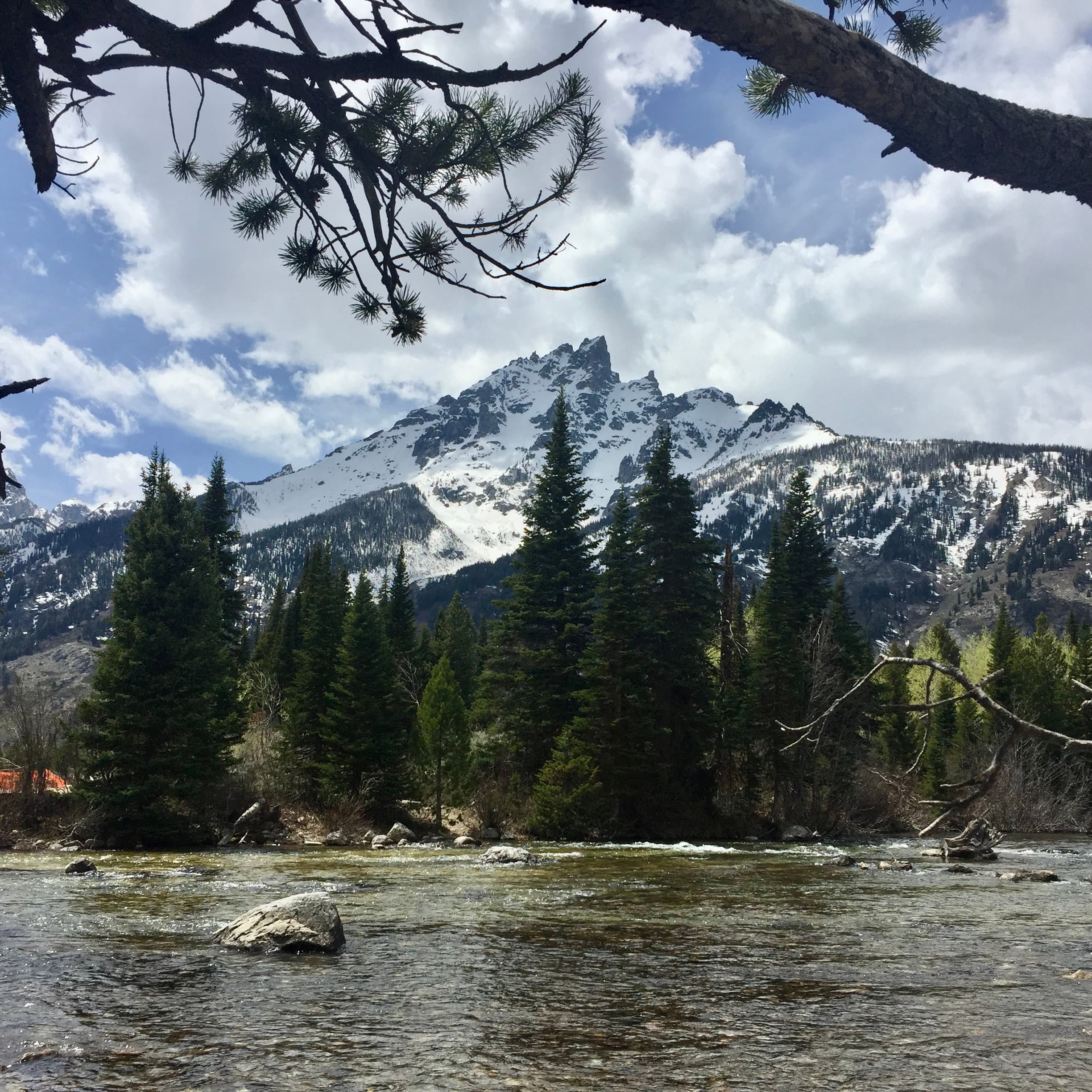 beautiful view of palm trees and mountains