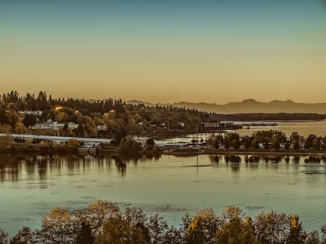 body of water near trees during daytime