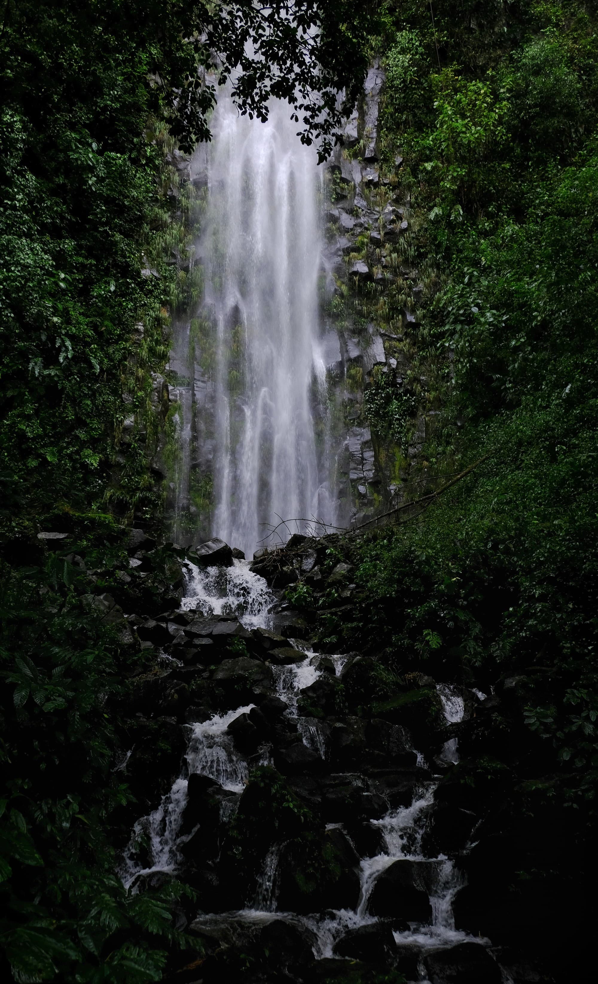 waterfall in the jungle