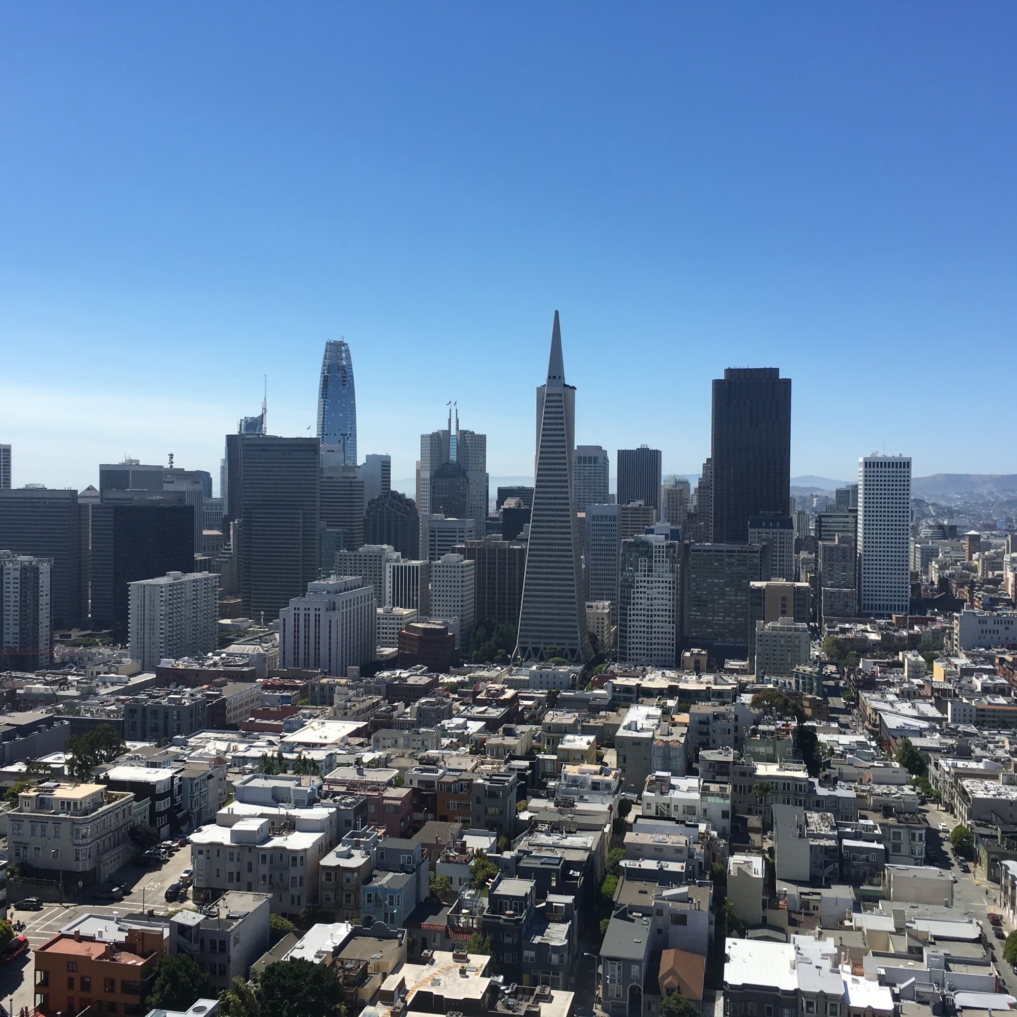 Skyline of city during daytime.