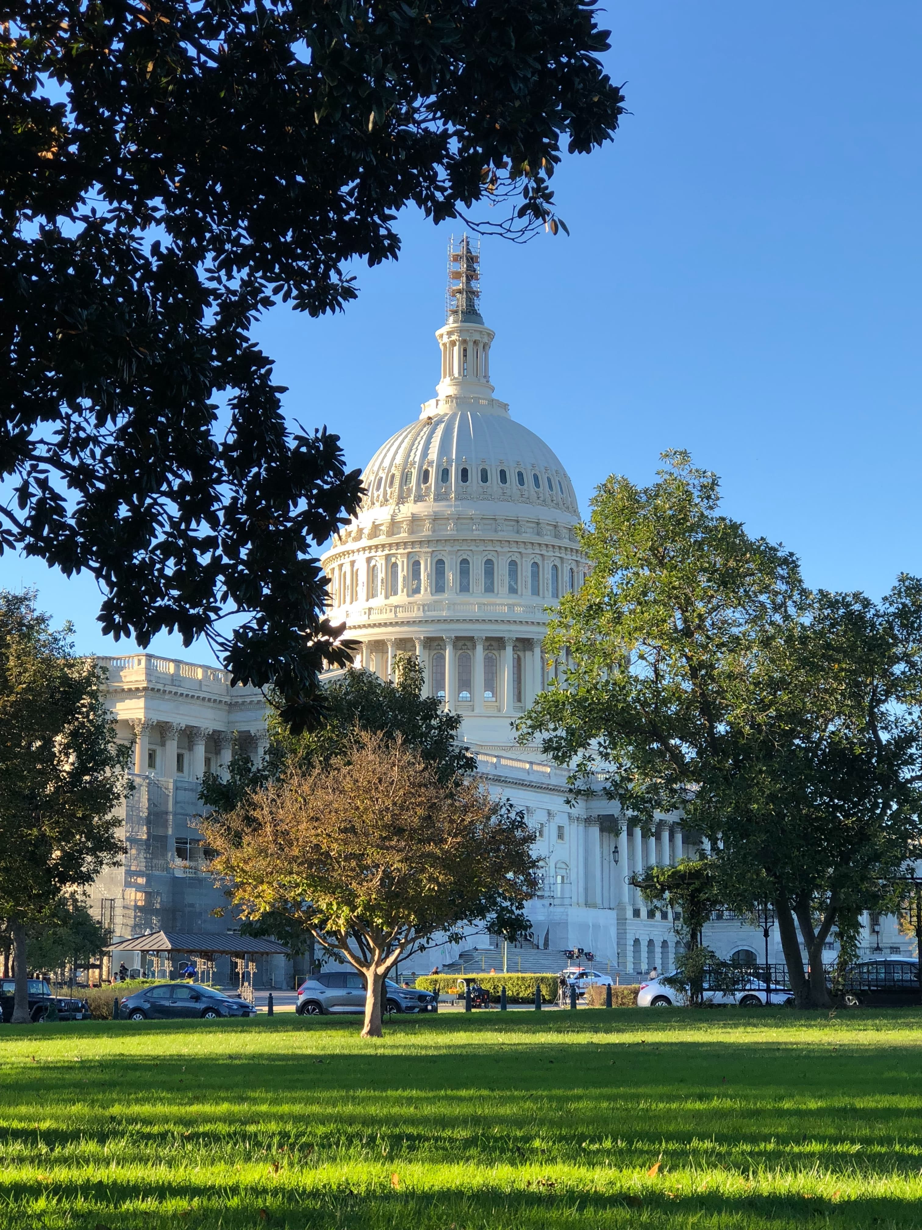 white capitol building with green grass with a sunny sky during daytime