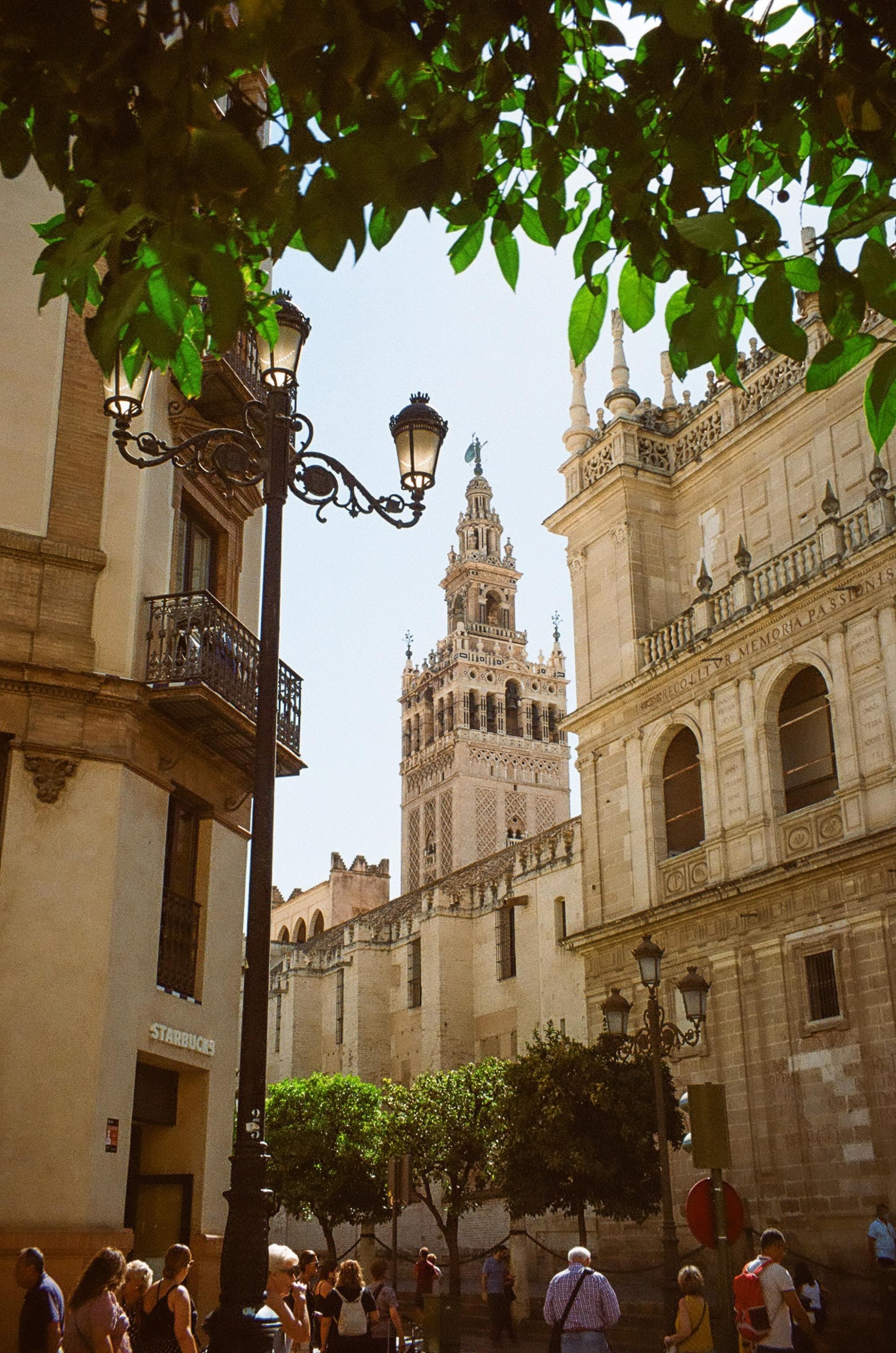 a tall cathedral amidst trees and people covered streets