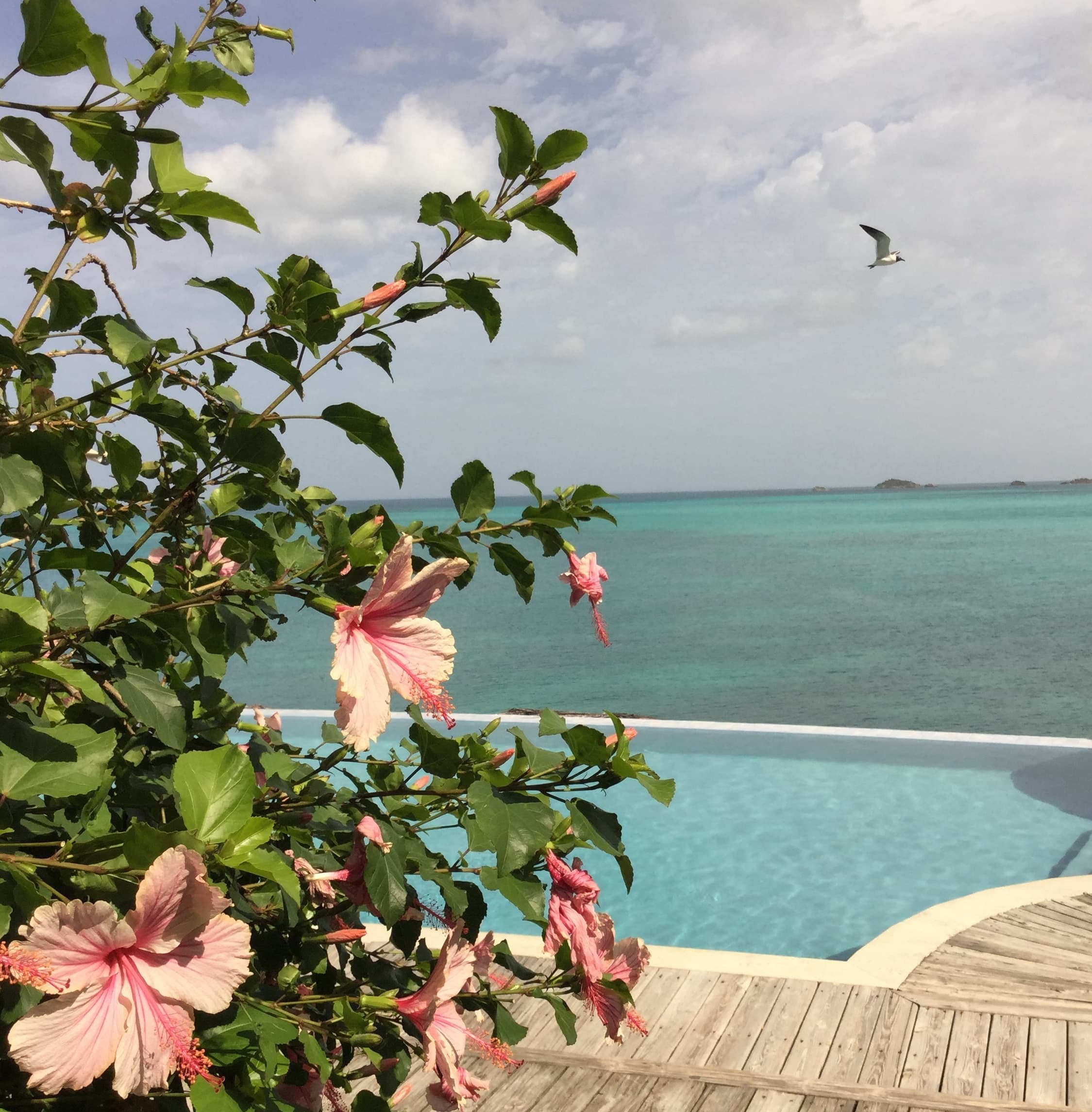 Views of a blue sea from a pool and flower deck.