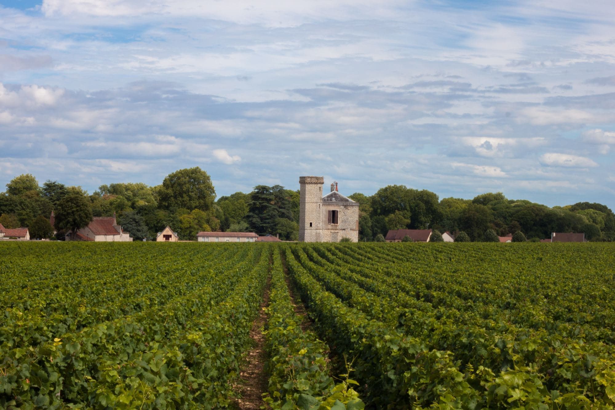 winery with stone building