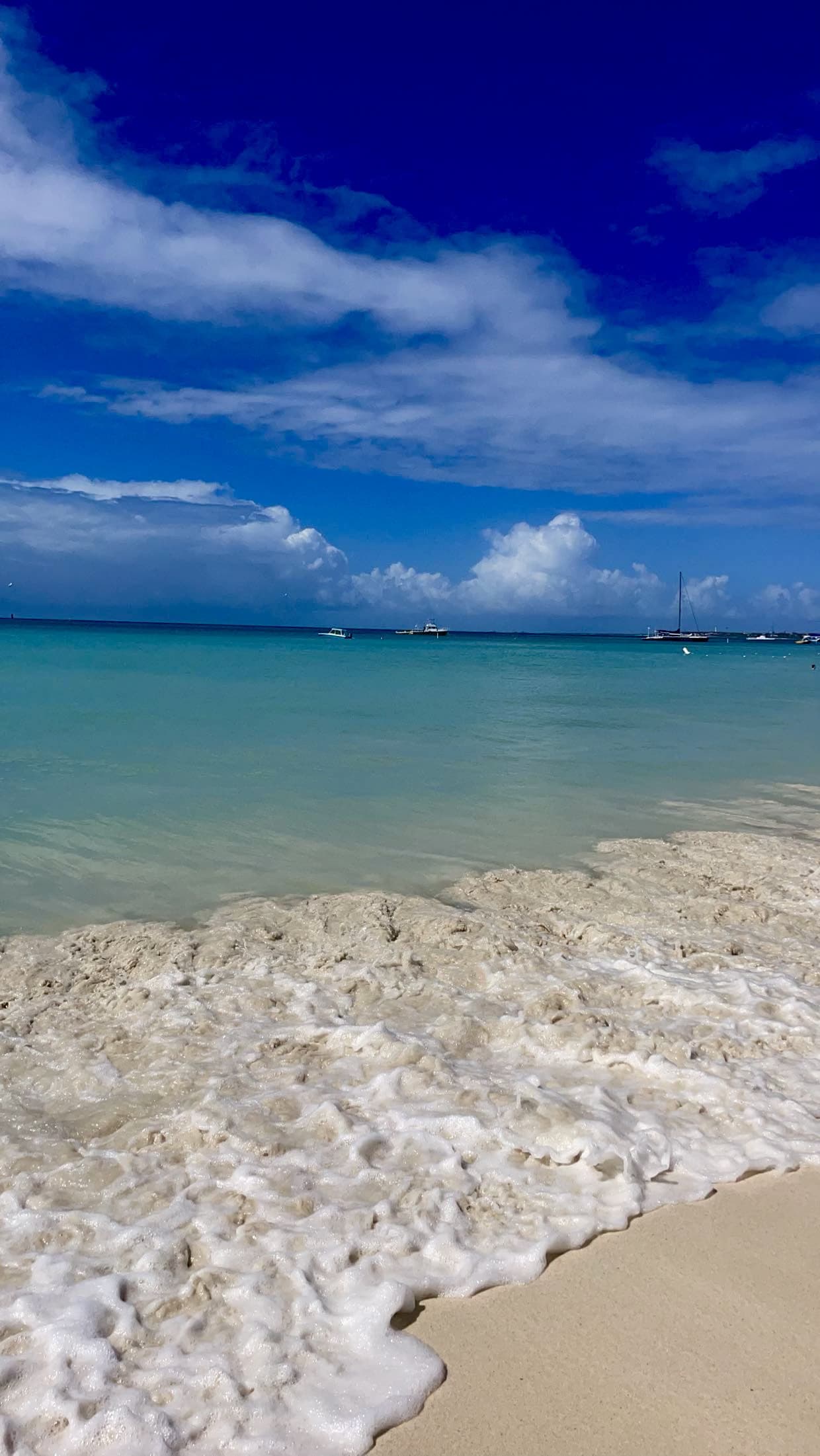 Aruba beach and shoreline with beautiful clear water and blue skies.