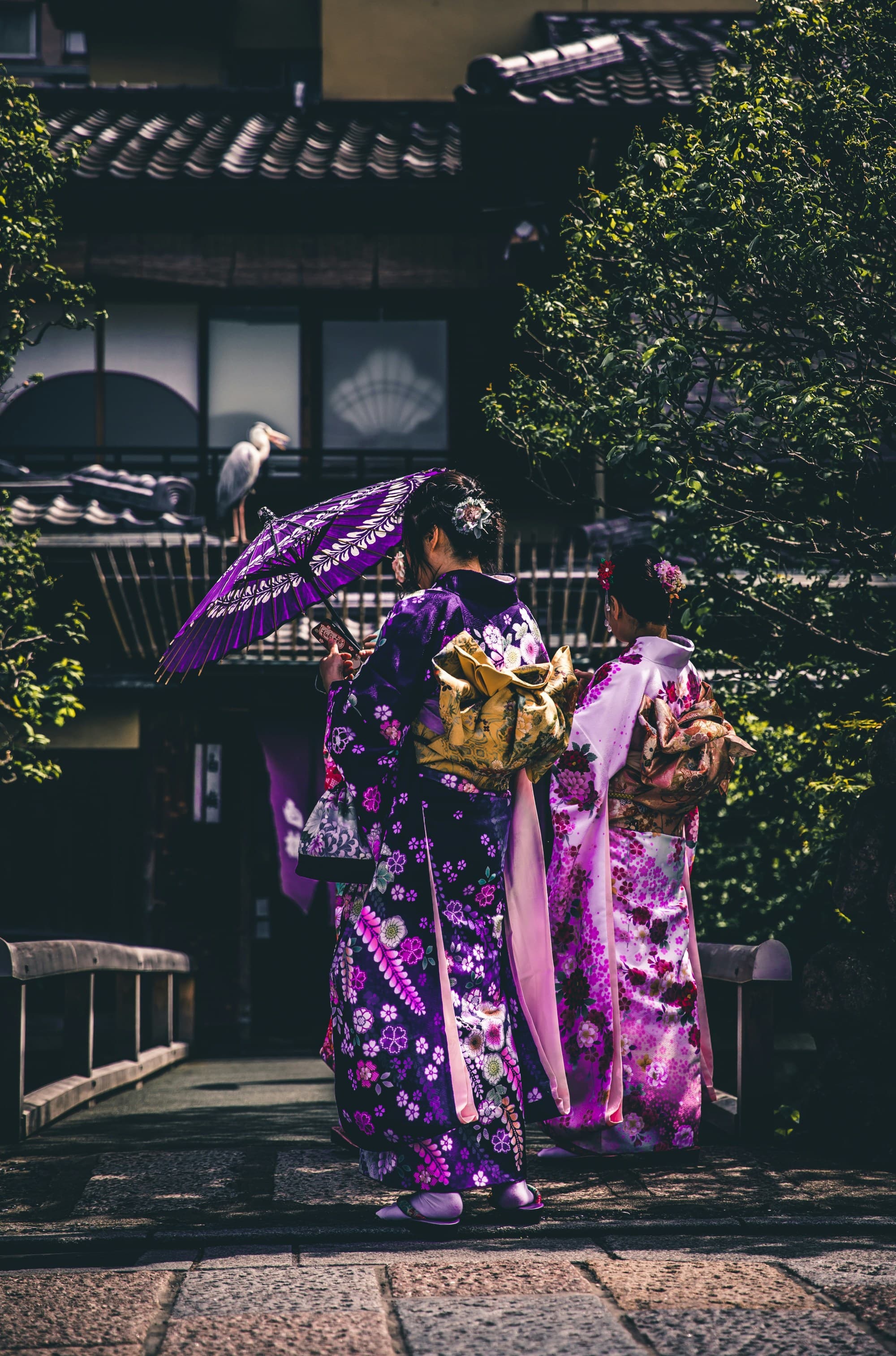 A picture of two women in purple and pink kimono.