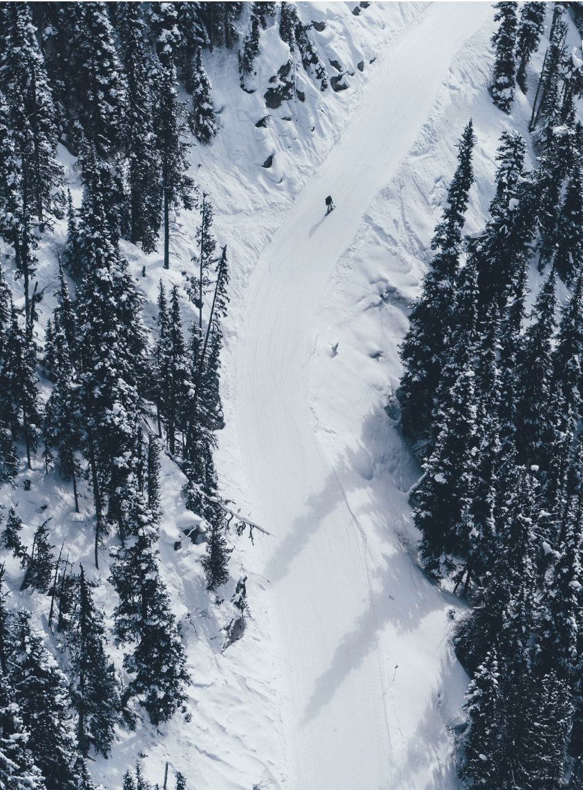 An overhead view of a ski trail surrounded by pine trees.