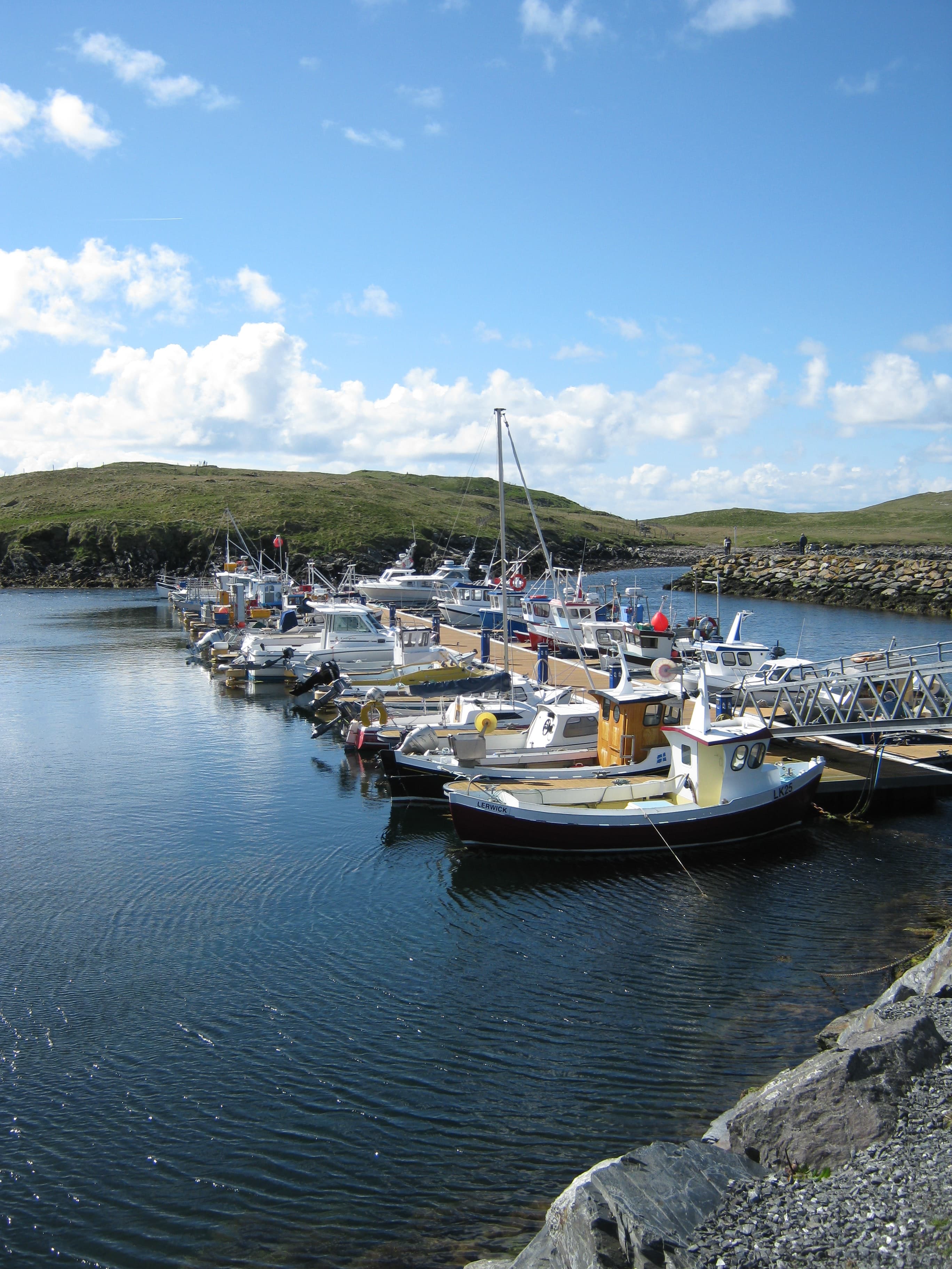 boats in the water during daytime