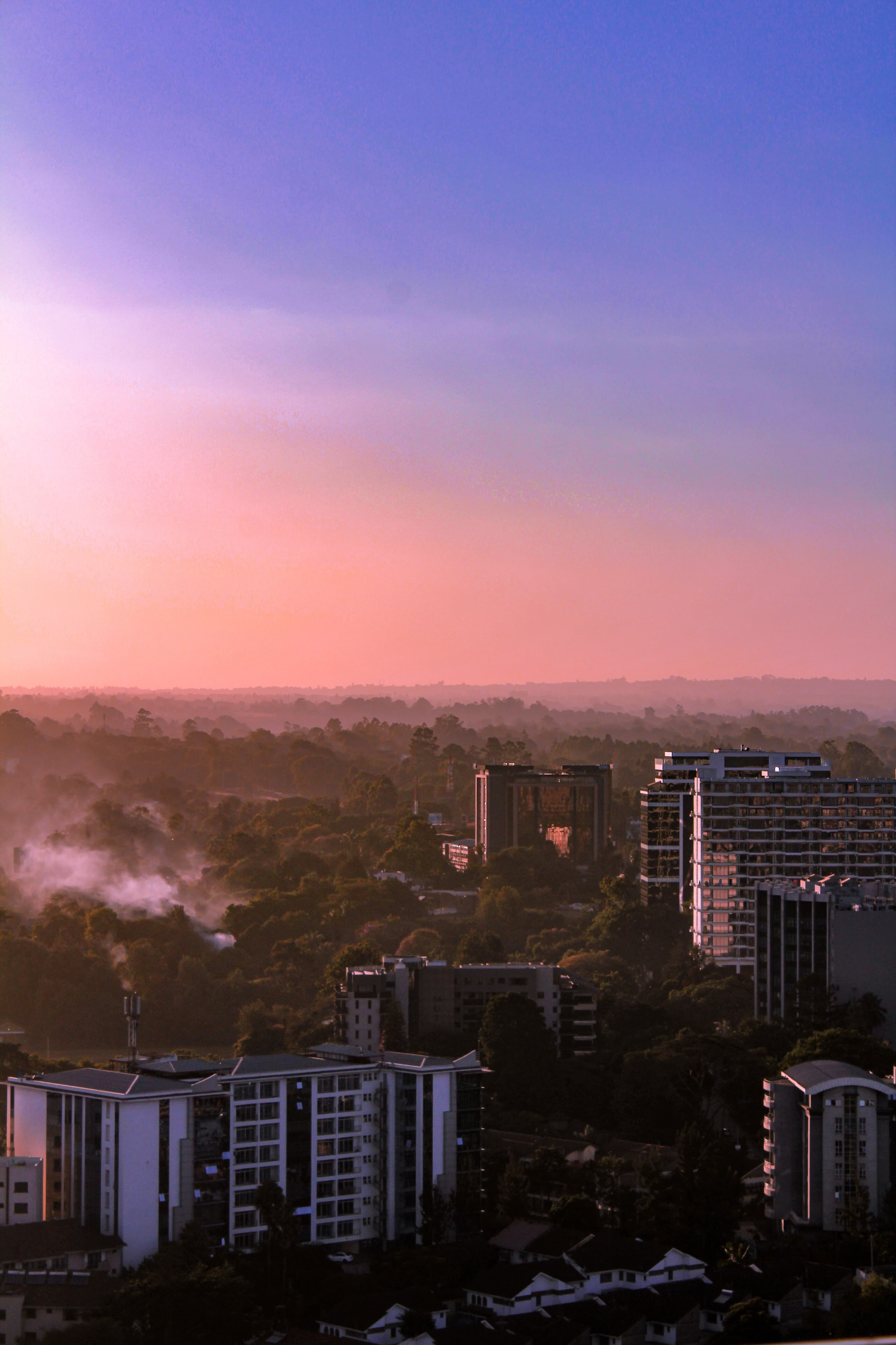 tall buildings with pink and blue skies