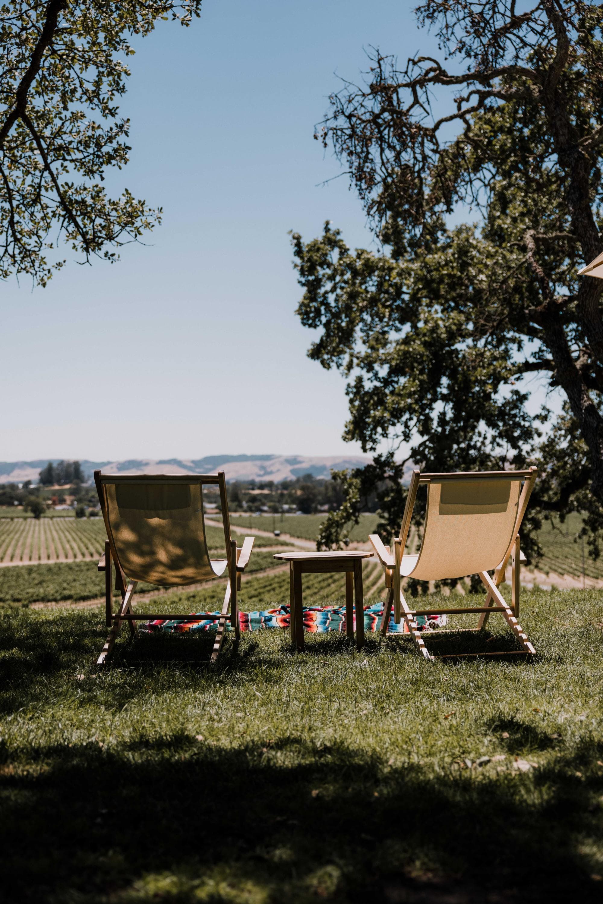 two canvas lawn chairs overlooking vast wine vineyards
