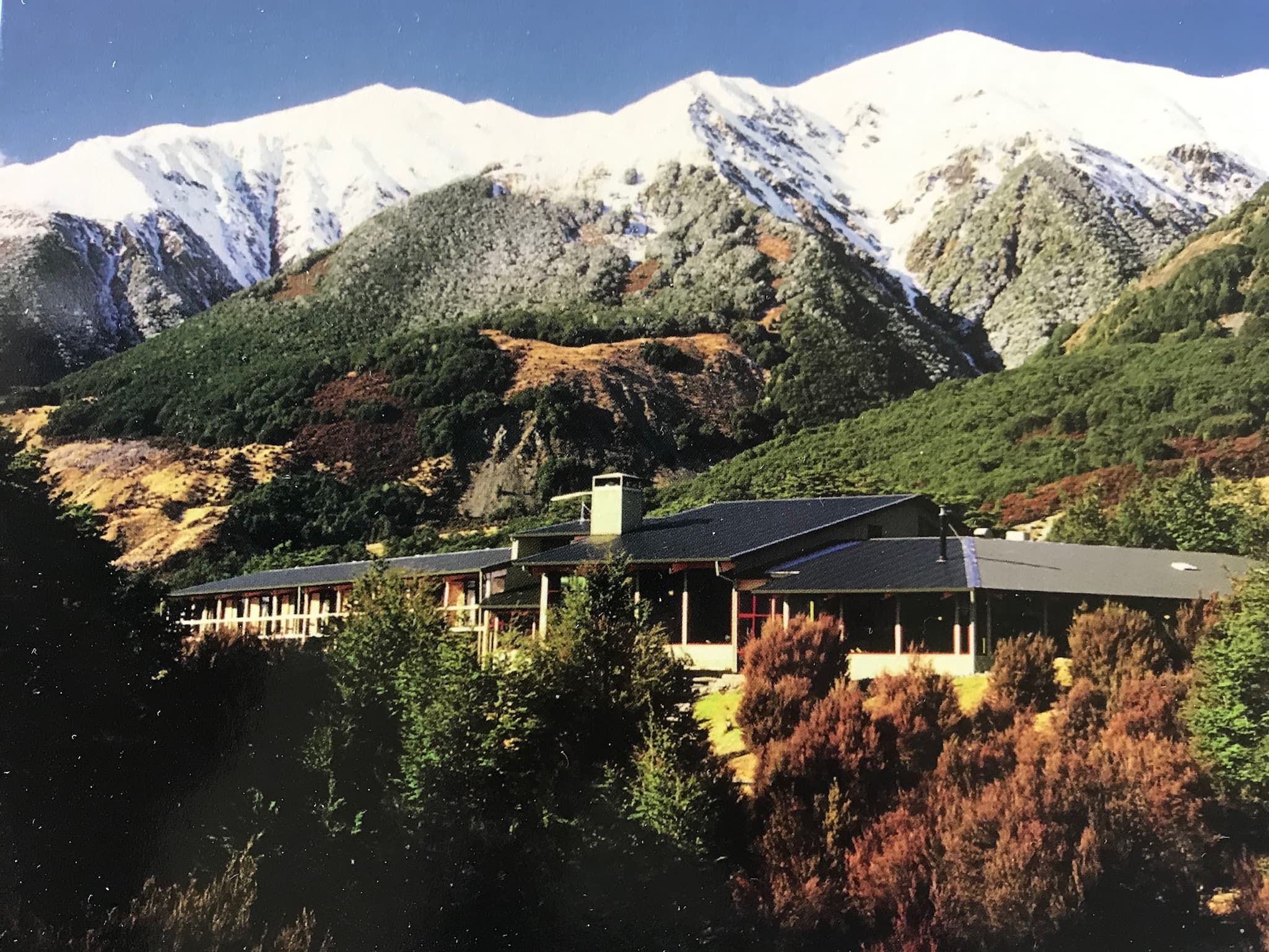 A person in a lush green forest near Arthur's Pass in New Zealand.